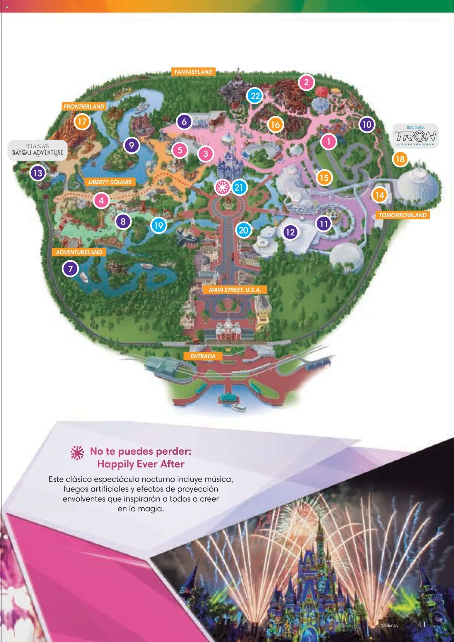 Viajes El Corte Inglés Folleto Walt Disney World │ válido desde el 03.12.2025 | Página: 11 | Productos: Té