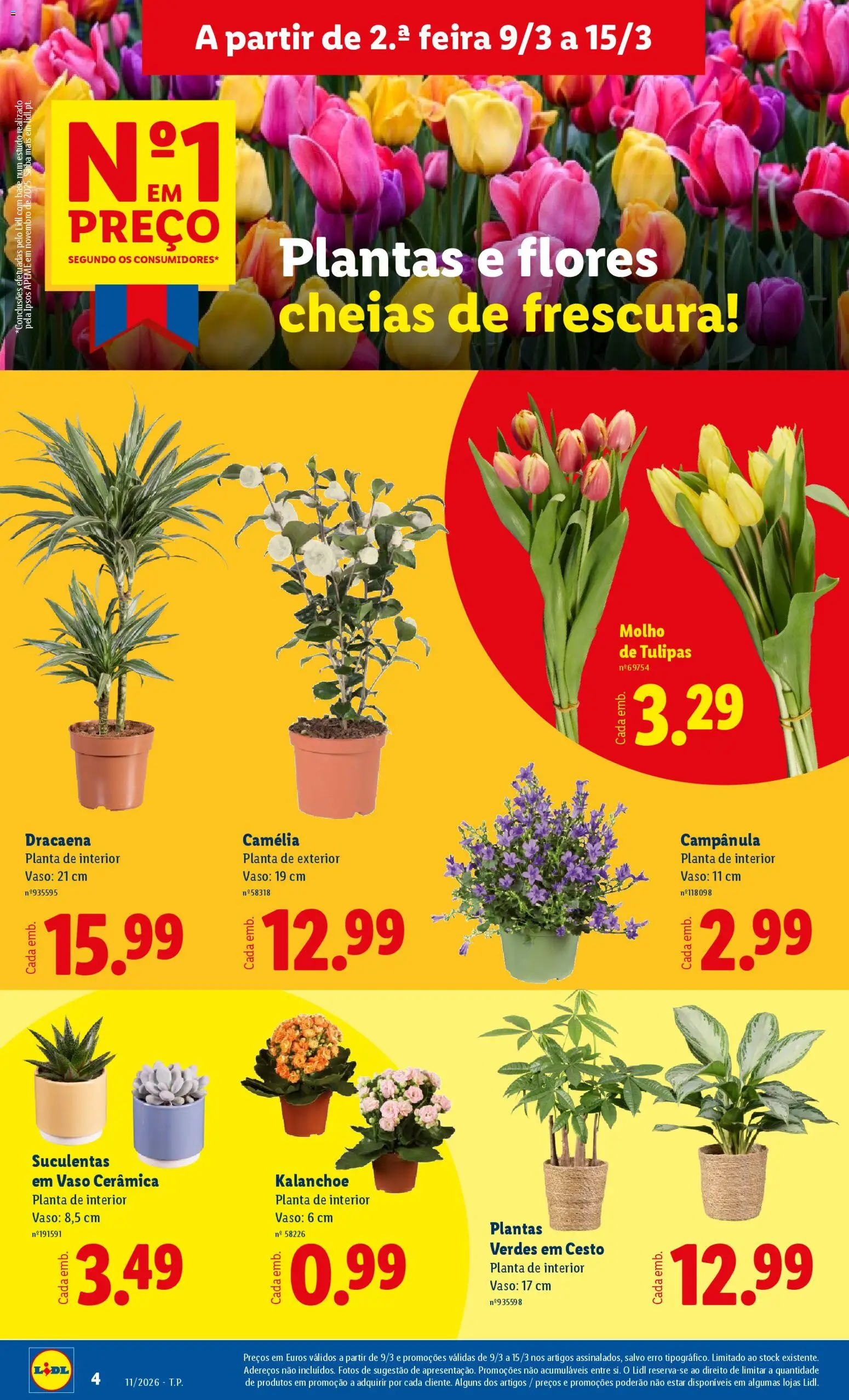 Lidl folheto │ válido de 09.03.2026 | Página: 4 | Produtos: Flores, Base, Vaso