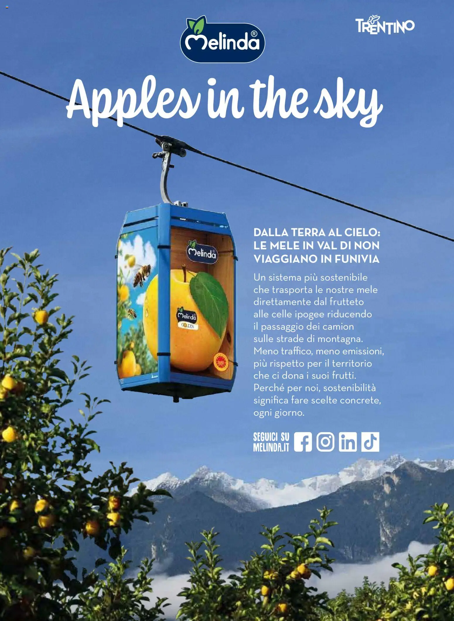 Volantino COOP del 01.12.2025 | Pagina: 37