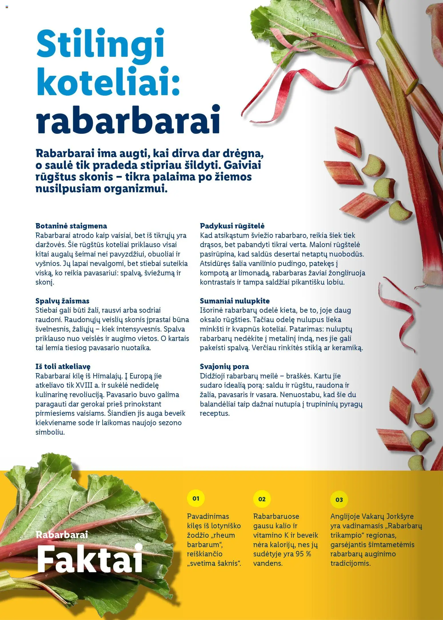 LIDL akcijos nuo 01.03.2026 | Puslapis: 72 | Prekių: Obuoliai