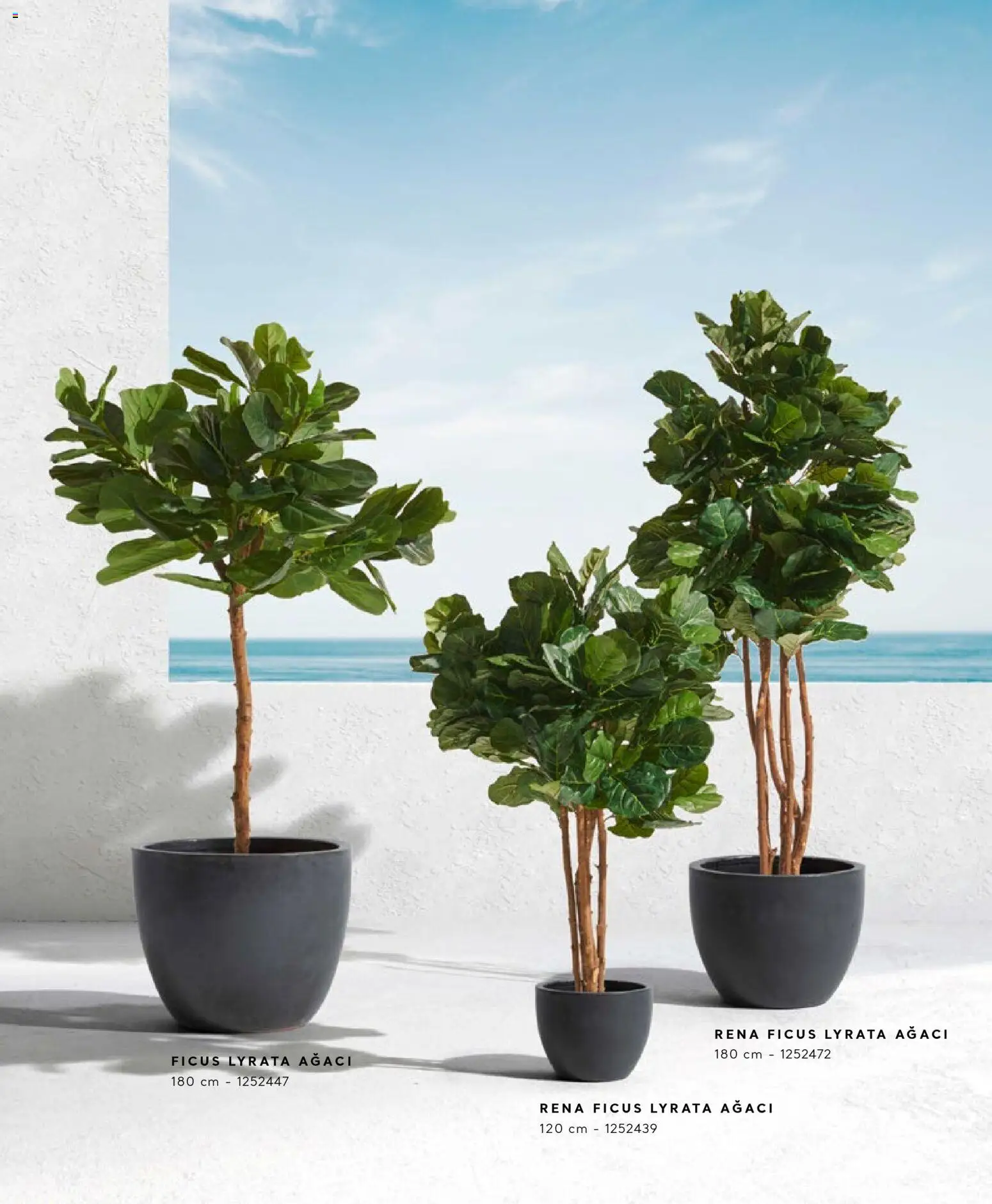 Mudo - Katalog  Ağaç 2026 - 01.01.2026 tarihinden itibaren geçerlidir | Sayfa: 6