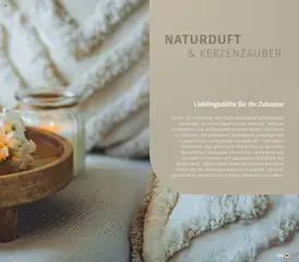 Müller Haushaltskatalog ab 03.10.2025 gültig | Seite: 103 | Produkte: Lavendel