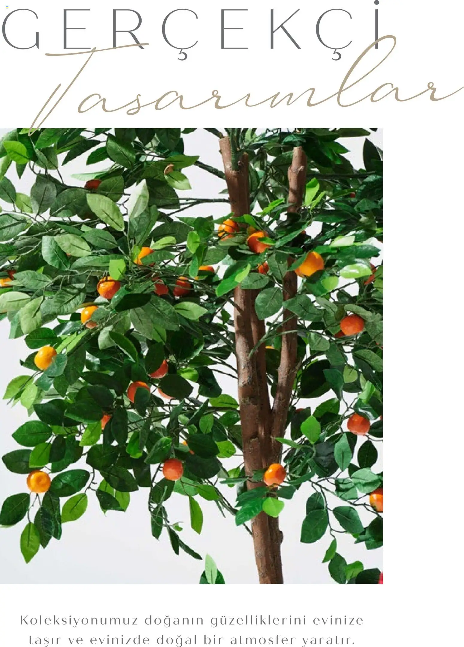 Mudo - Katalog  Ağaç 2026 - 01.01.2026 tarihinden itibaren geçerlidir | Sayfa: 21