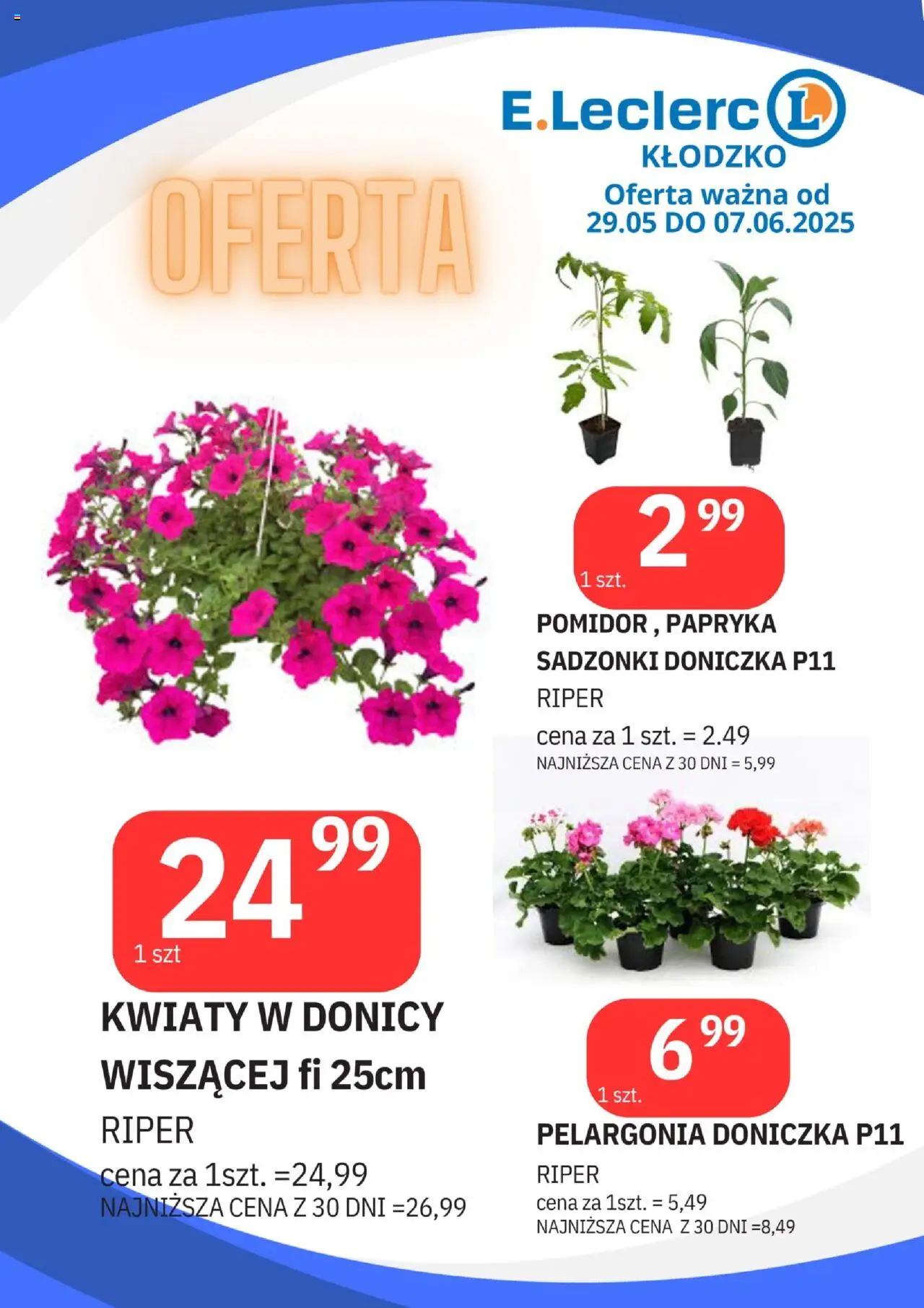 E.Leclerc Gazetka - Kłodzko od 29.05.2025 | Strona: 20 | Produkty: Papryka, Doniczka, Kwiaty