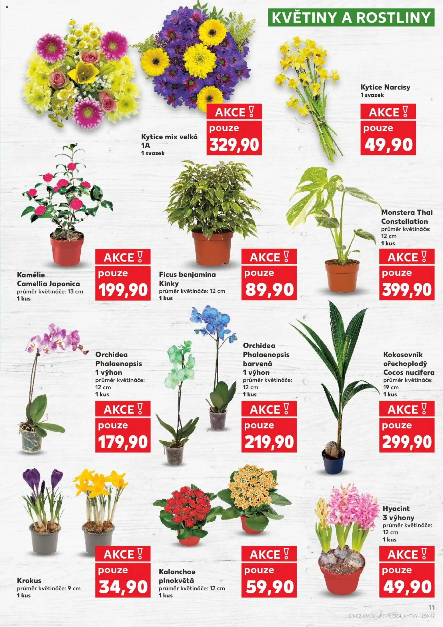 Kaufland leták - Ostrava od 04.02.2026 | Strana: 11 | Produkty: Monstera, Rostliny, Kytice, Květiny