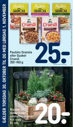 Rema 1000 - Tilbudsavis gyldig fra 26.10.2025 | Side: 13