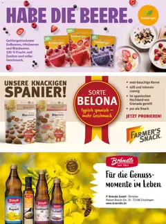 V-Markt Vielfalt März / April ab 01.03.2026 gültig | Seite: 31