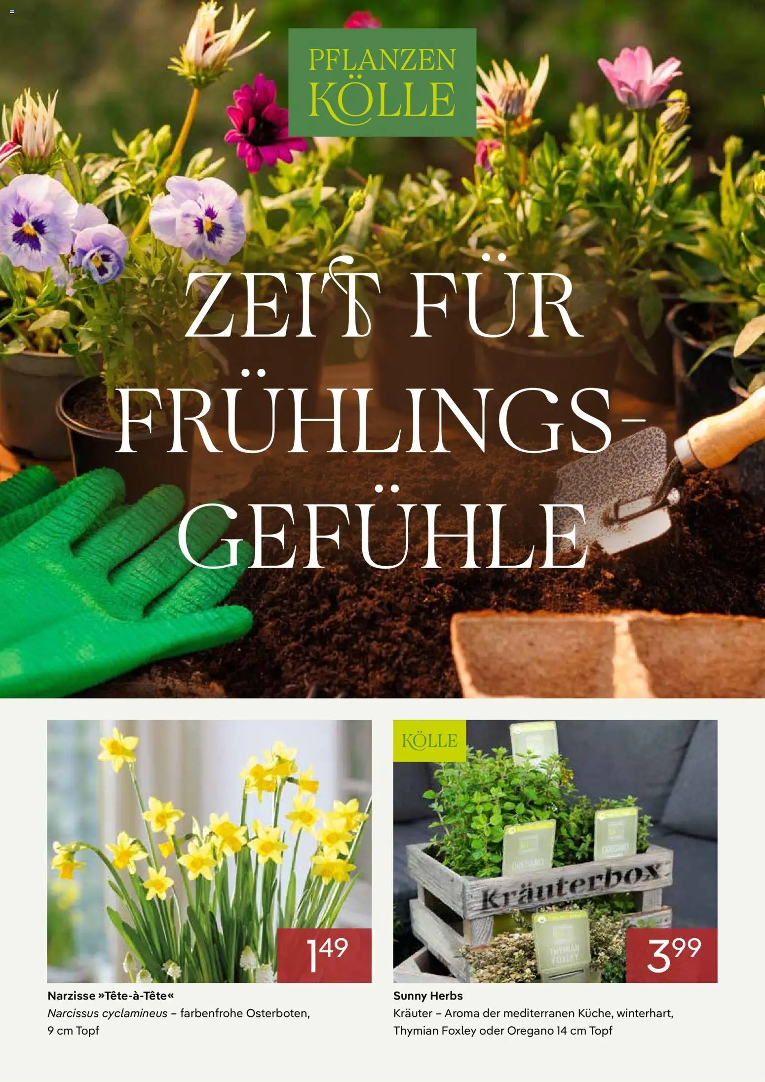 Pflanzen-Kölle Prospekt 	 – gültig ab 01.02.2026 | Seite: 1