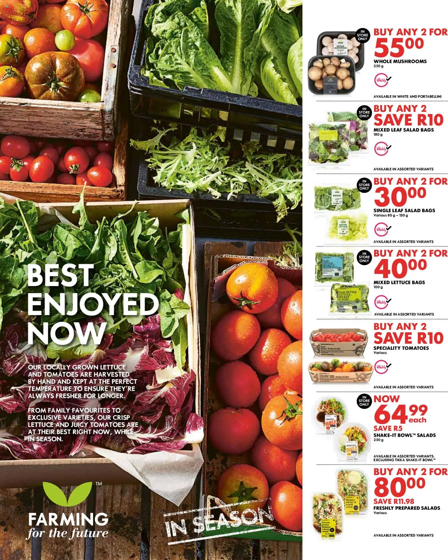 New Woolworths catalogue – valid from 23.02.2026 | Page: 3 | Products: Mushrooms, Tomatoes, Salad, Lettuce