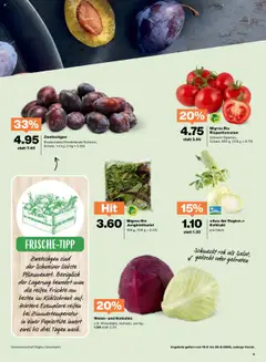 Zwetschgen, Deutschland/Niederlande/Schweiz, Schale, 1.5 kg – gültig ab 16.09.2025 | Seite: 5 | Produkte: Zwetschgen, Früchte, Kühlschrank