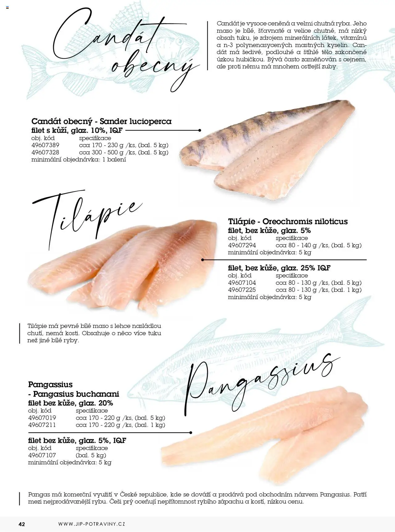Jip katalog ryby 2024/25 od 30.12.2024 | Strana: 42 | Produkty: Tilapie, Candát, Filet, Maso