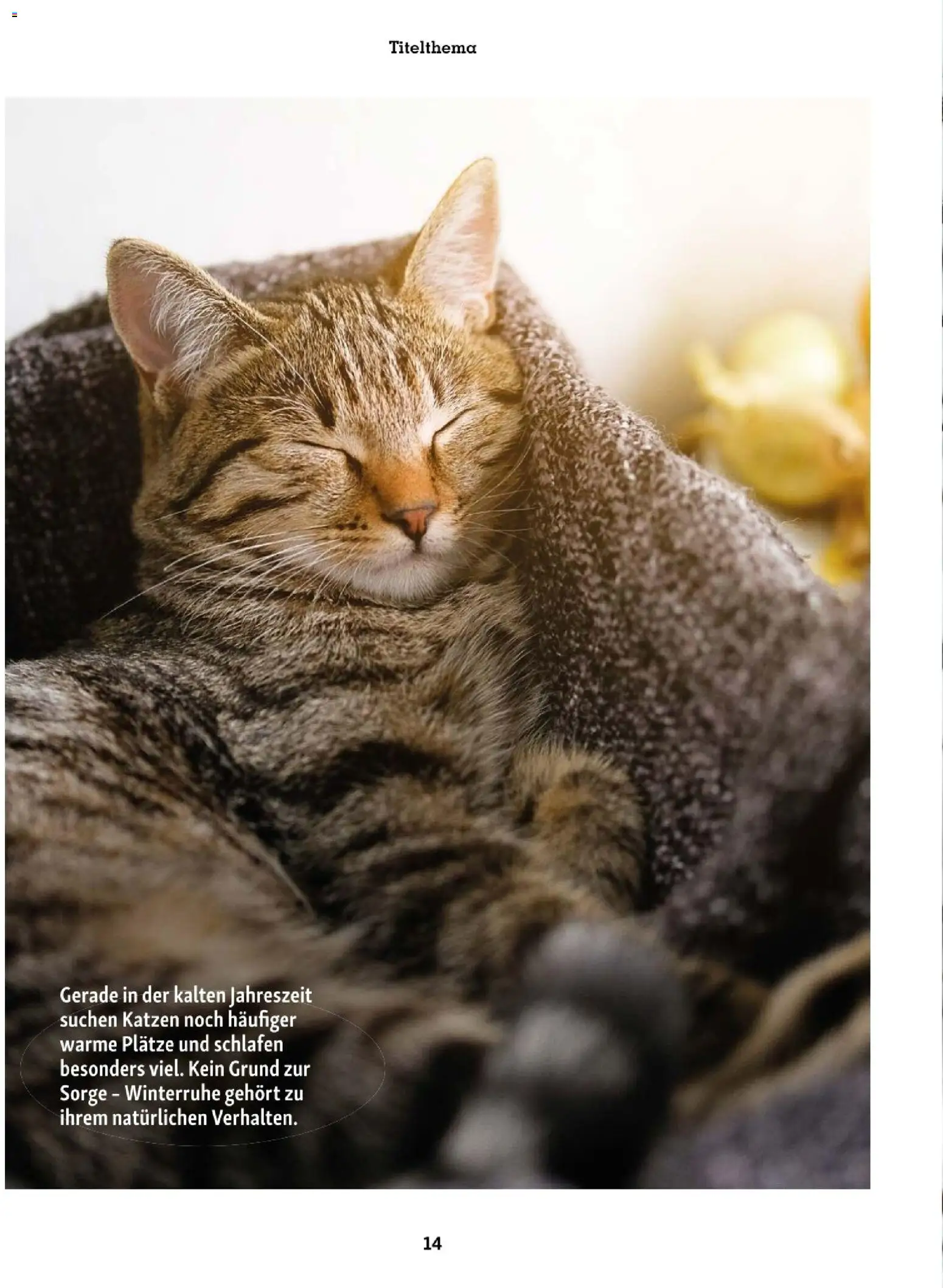 Fressnapf Friends 01/26 gültig ab 01.01.2026 | Seite: 14