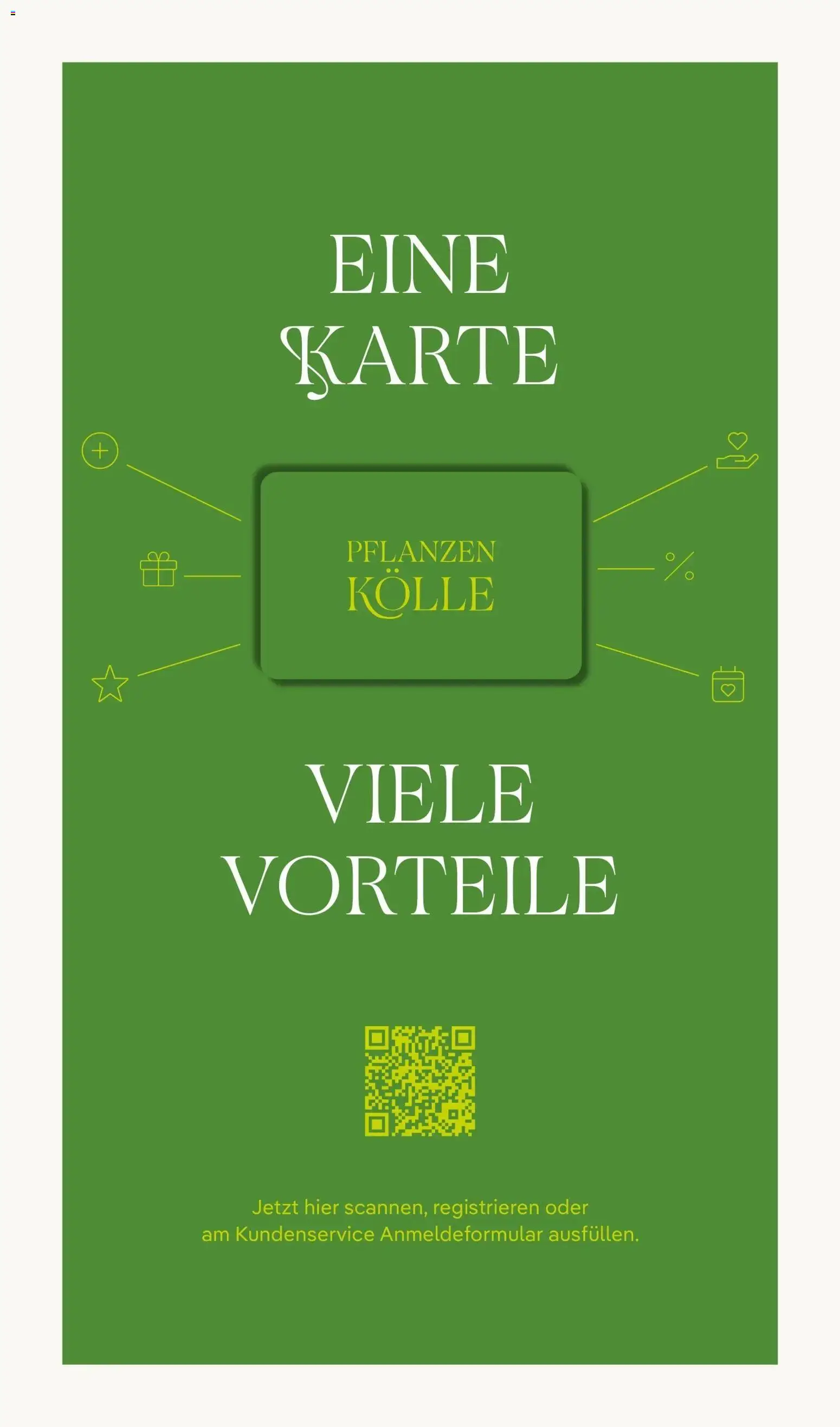Pflanzen-Kölle - Pflanzen-Kölle: Weltfrauentag – gültig ab 02.03.2026 | Seite: 19