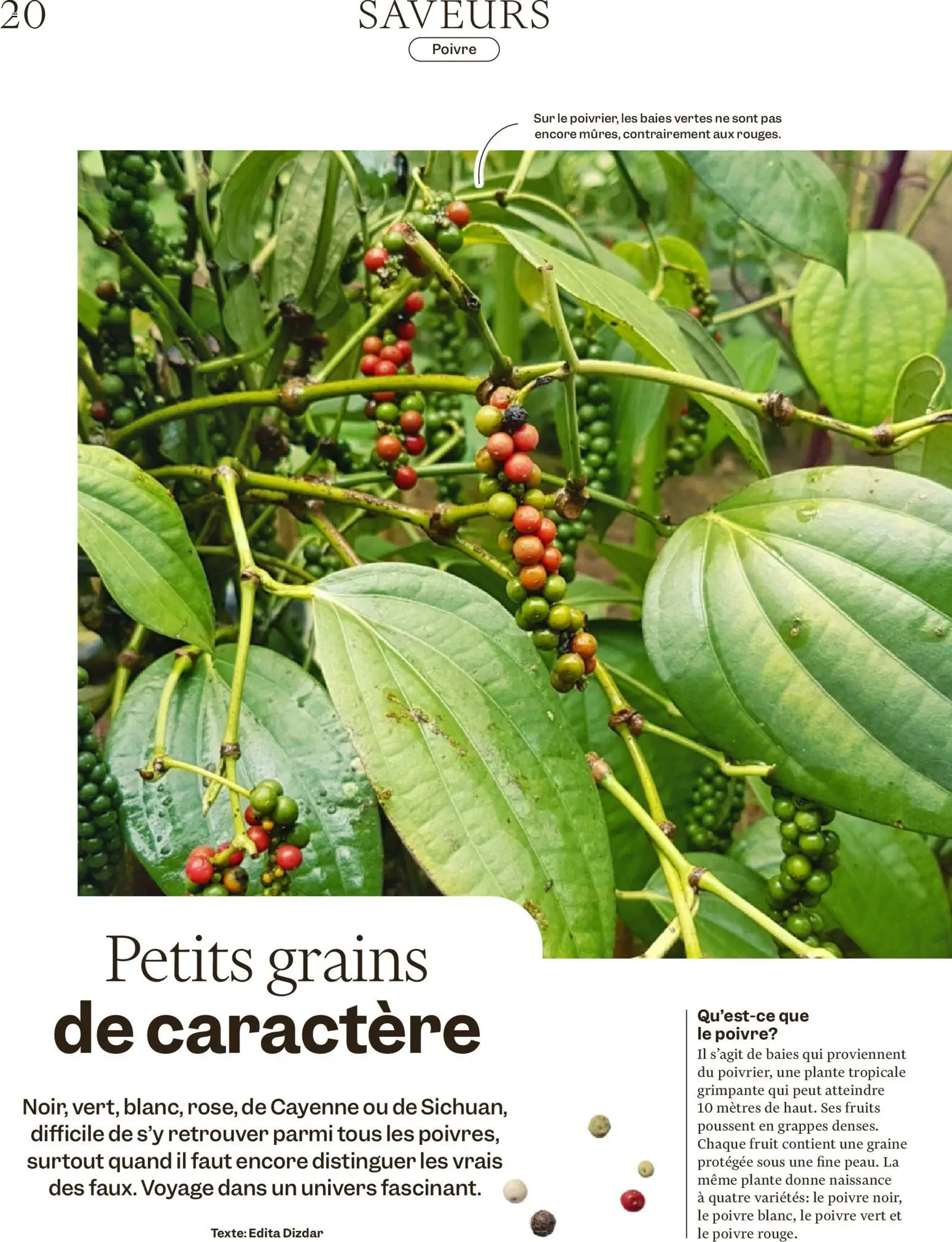 Migros Magazin FR – gültig ab 29.12.2025 | Seite: 20