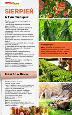 Pogląd oferty "Brico Marché gazetka - Wiosna" - ważna od 04.03.2026 | Strona: 129 | Produkty: Nasiona, Rosliny