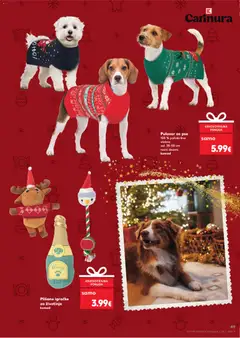 Blagdani u tvom domu Kaufland - Pregled kataloga iz trgovine Kaufland, vrijedi od 26.11.2025 | Stranica: 49 | Proizvodi: Plišane igračke