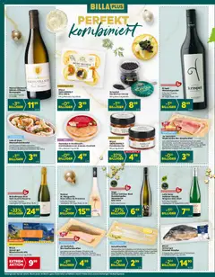 Billa Plus Flugblatt ab 18.12.2025 gültig | Seite: 9 | Produkte: Knoblauch, Wein, Fisch