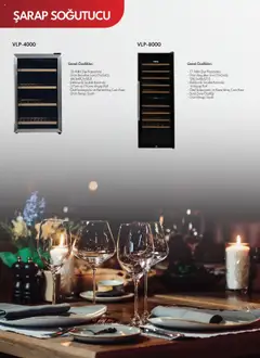 03.06.2025 tarihinden itibaren geçerli olan Vestel kataloğu önizlemesi | Sayfa: 31