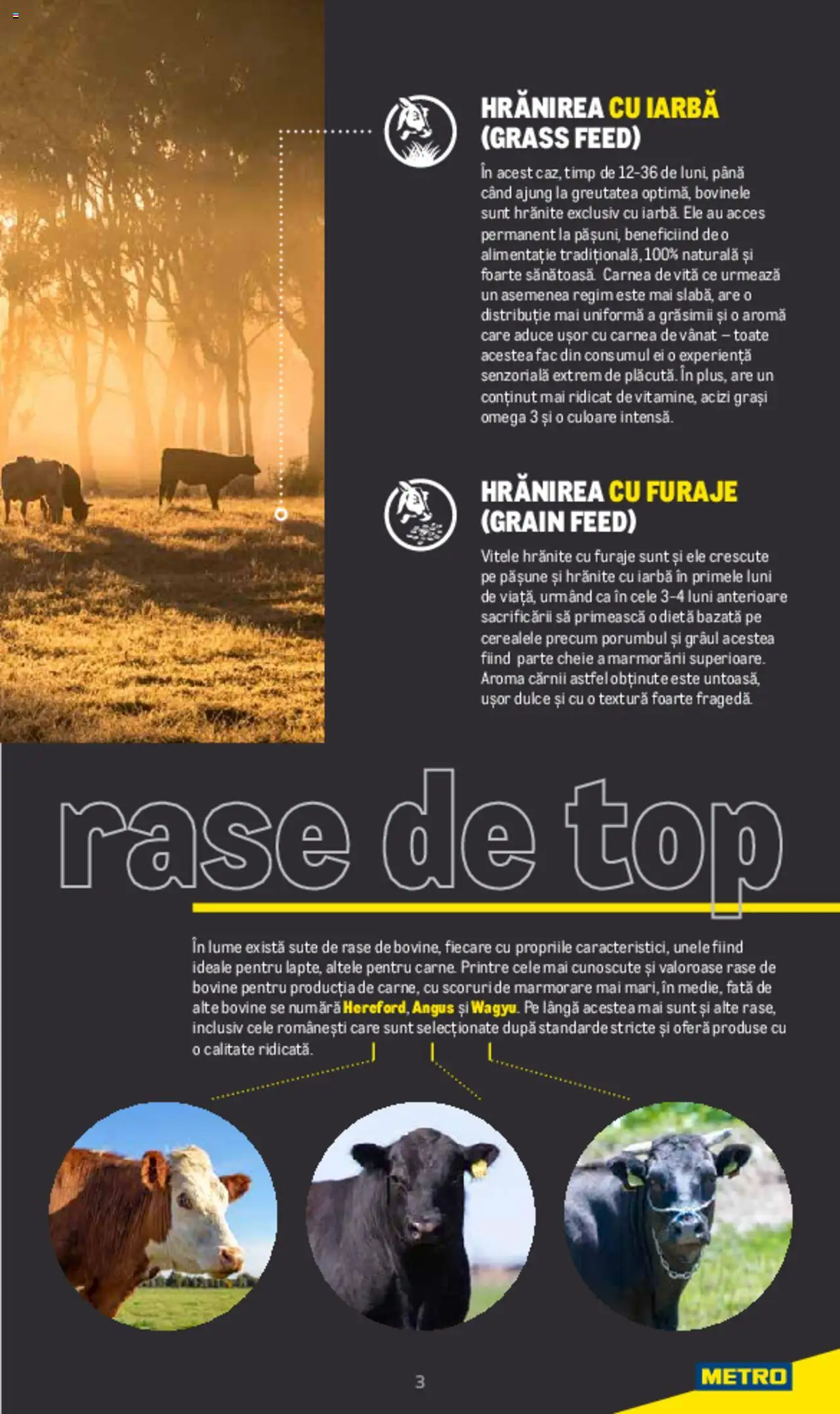 Noul catalog Metro – valabil de la 20.06.2022 | Pagină: 3 | Produse: Top