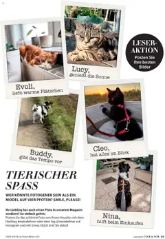 Dehner  Flugblatt ab 10.10.2025 gültig | Seite: 95