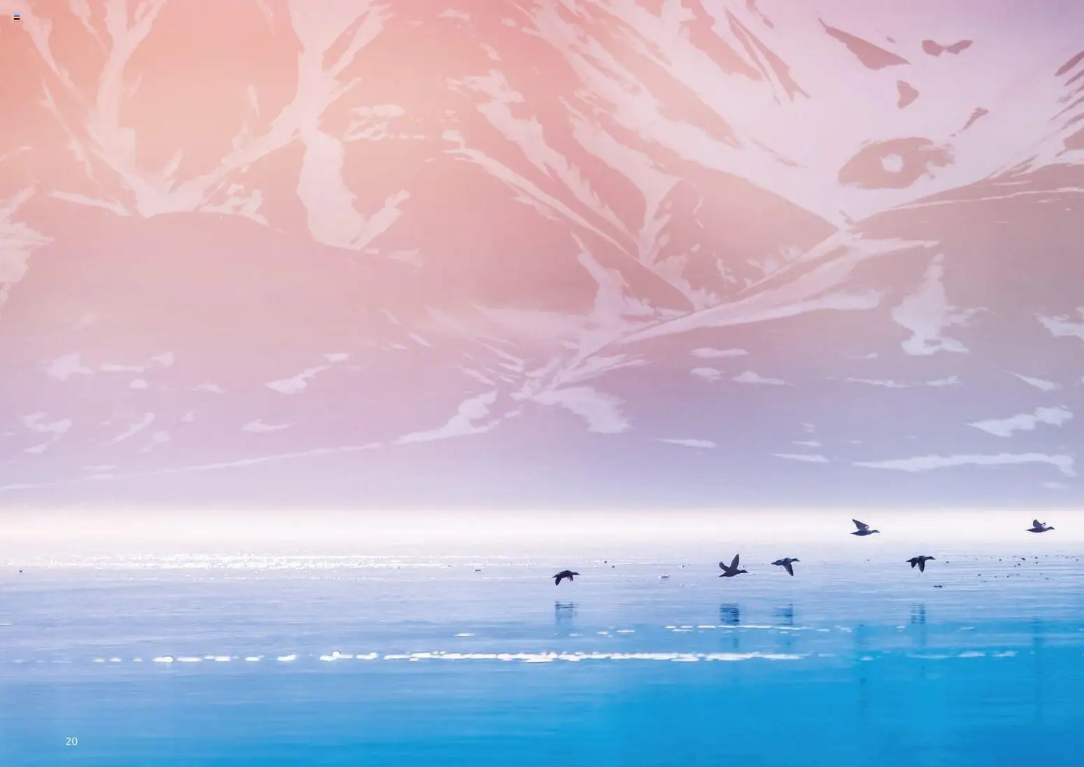 Aida AIDAselection – gültig ab 01.04.2026 | Seite: 20