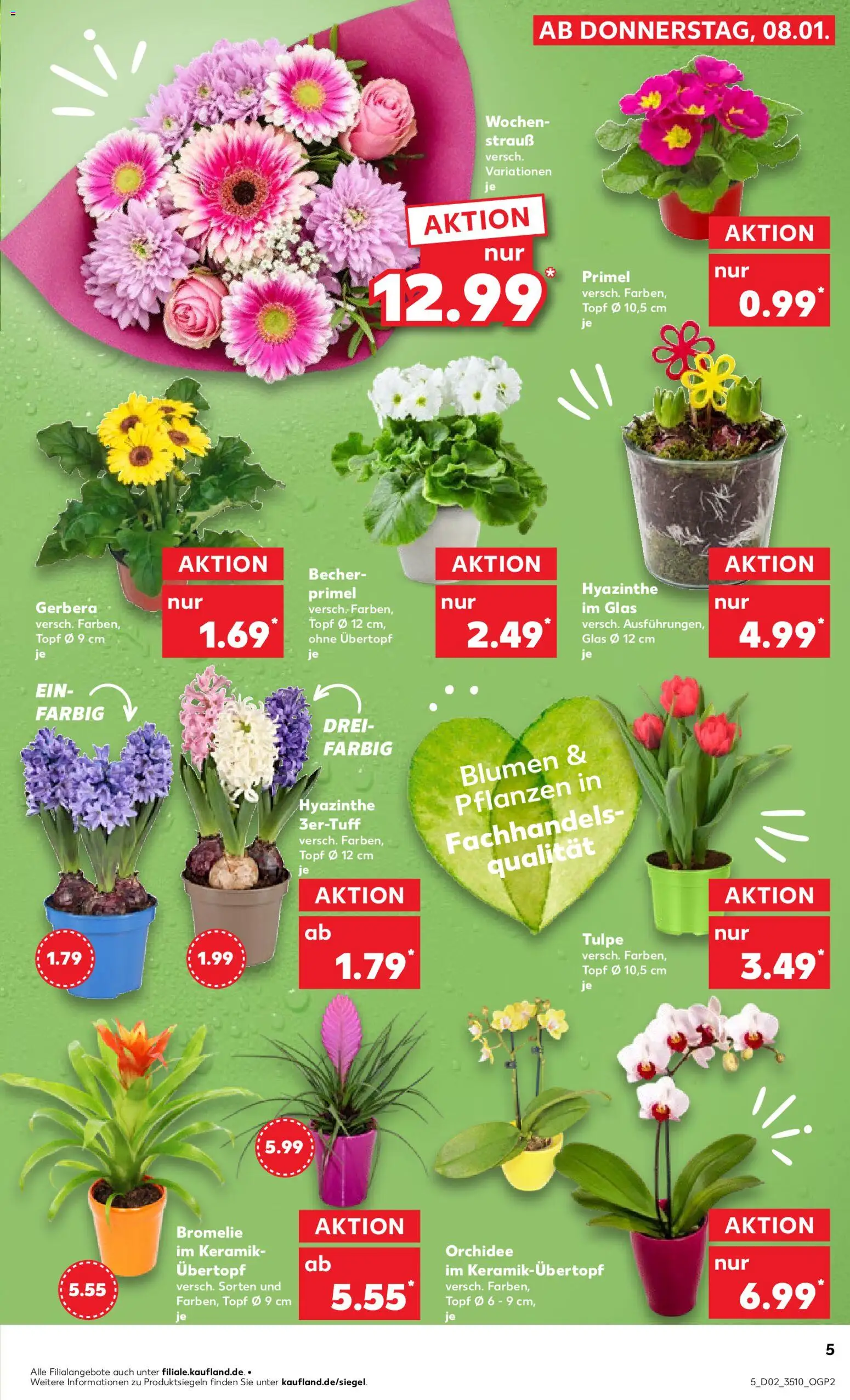Kaufland prospekt Zeitz	 – gültig ab 08.01.2026 | Seite: 5 | Produkte: Orchidee, Blumen