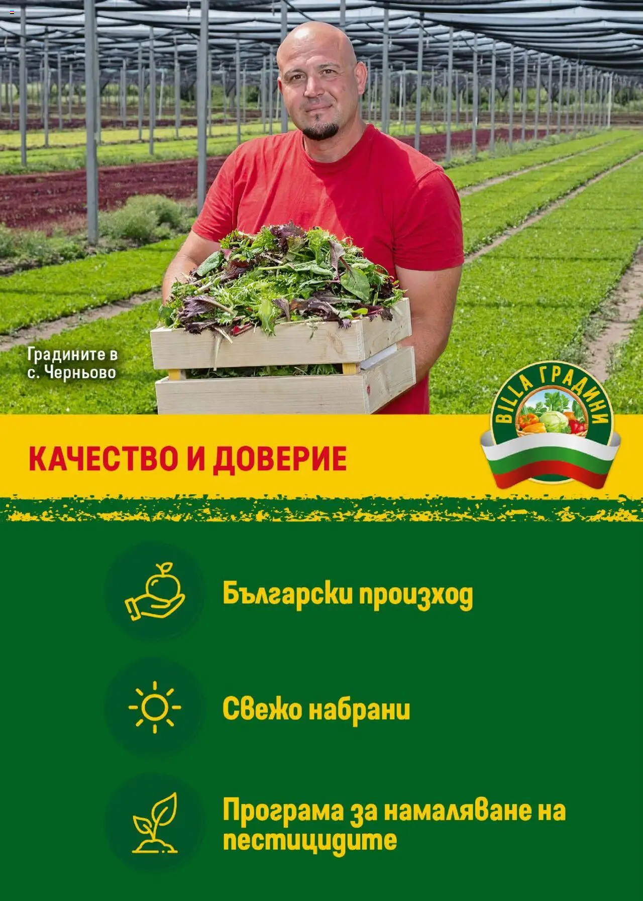  | Страница: 11