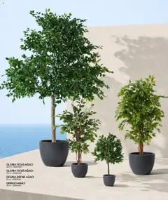 Mudo Katalog - BAHÇE 2025 - 04.06.2025 tarihinden itibaren geçerlidir | Sayfa: 152 | Ürünler: Defne