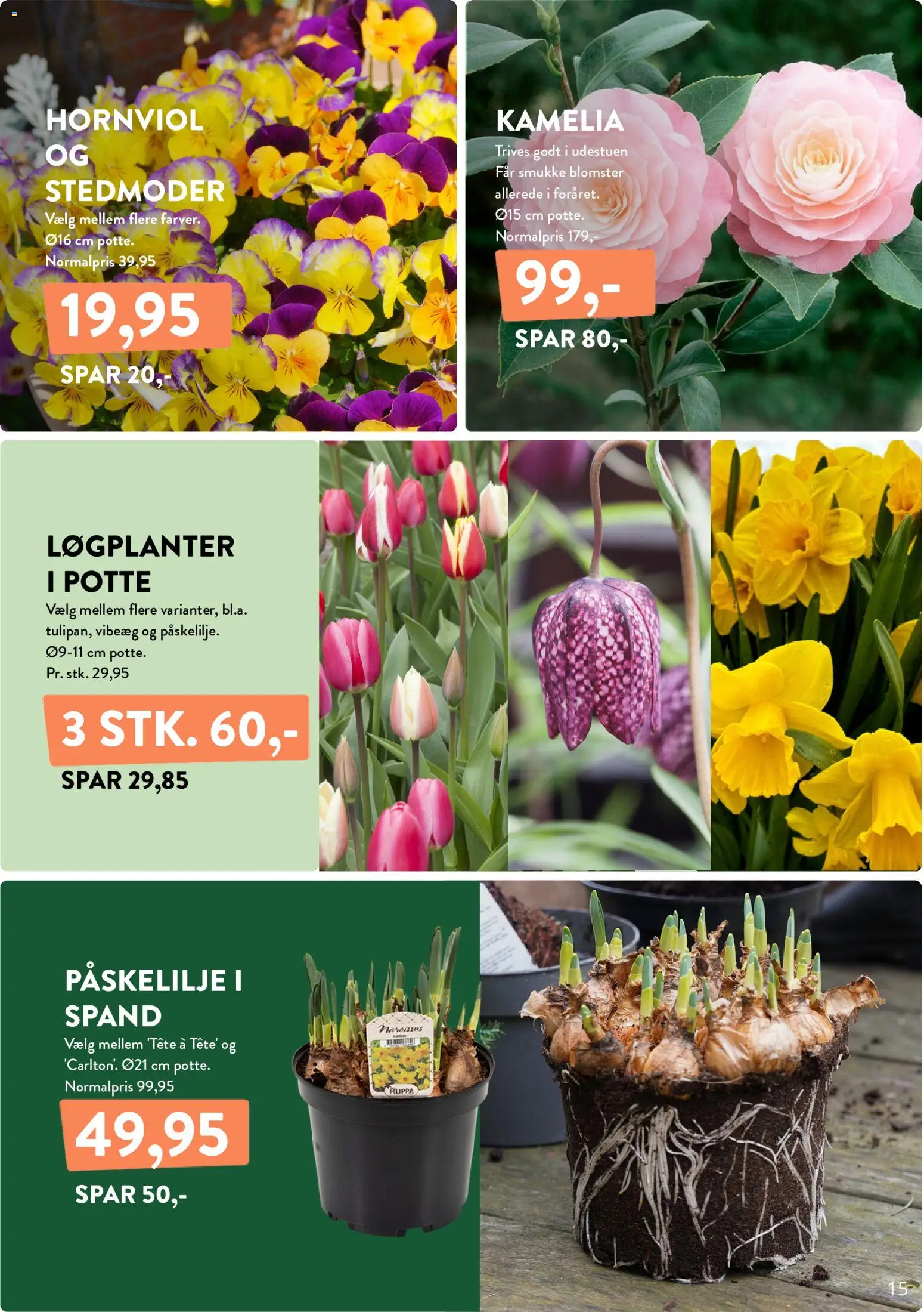 Maxi Zoo tilbudsavis – gyldig fra 06.02.2026 | Side: 15