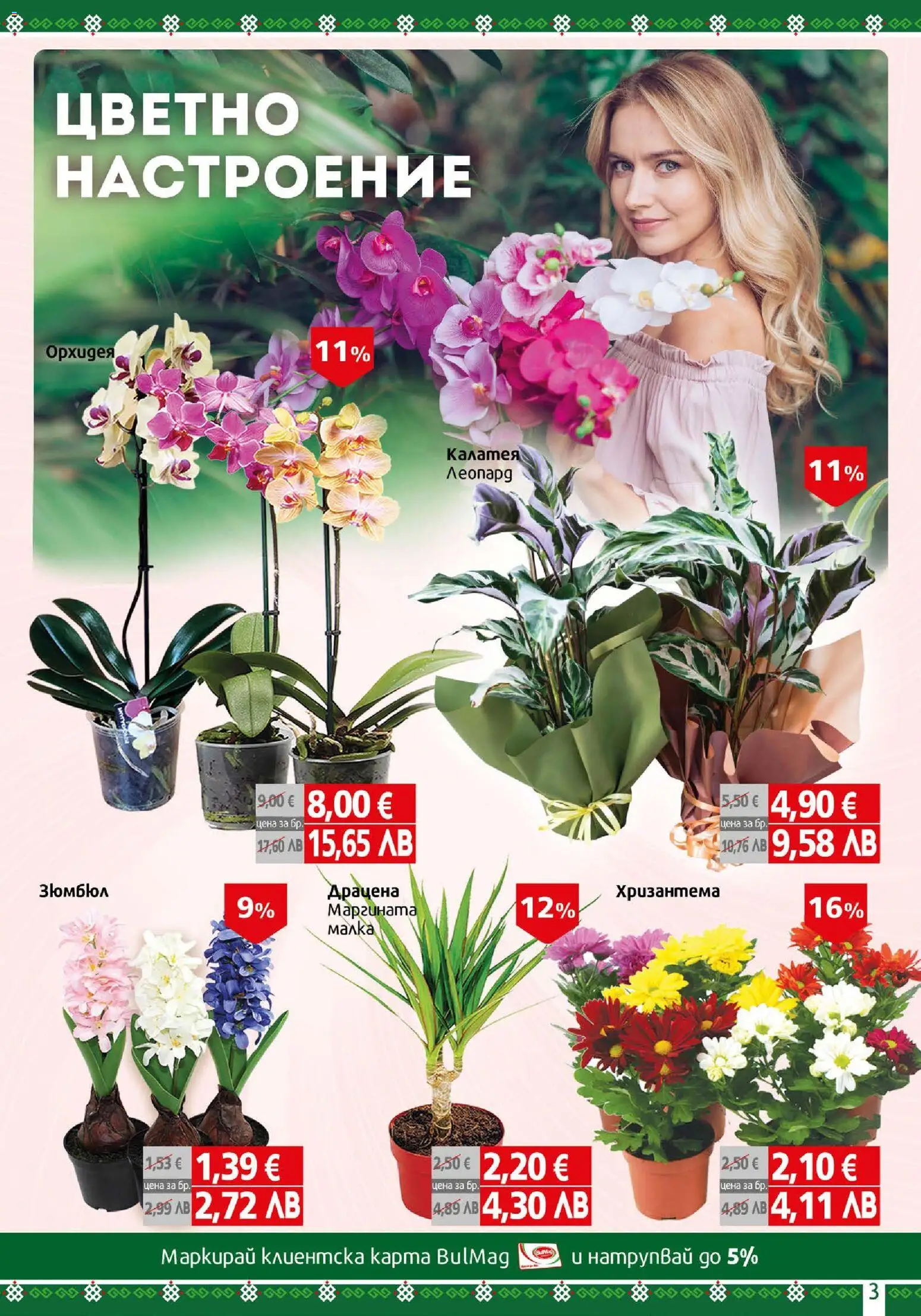 {H1} | Страница: 3 | Продукти: Орхидея, Хризантема