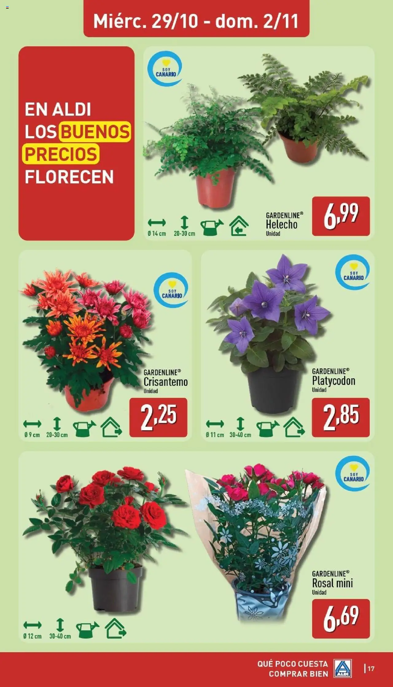 Aldi folleto Canarias │ válido desde el 27.10.2025 | Página: 17