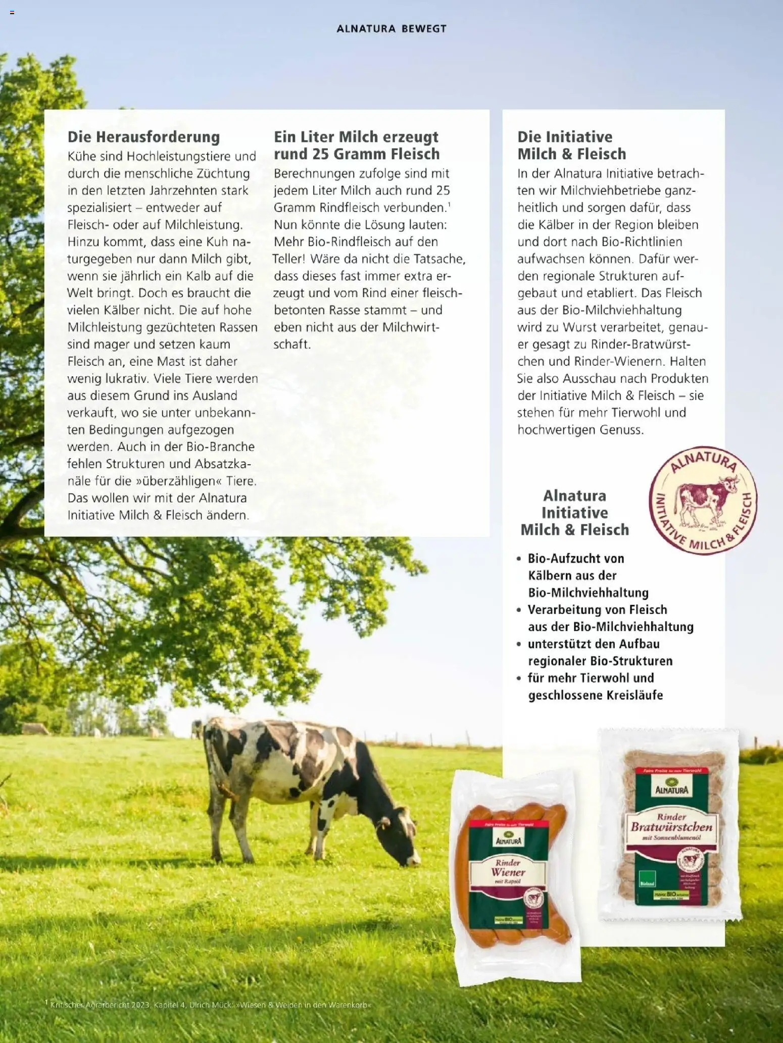 Alnatura Prospekt – gültig ab 01.11.2025 | Seite: 31 | Produkte: Sonnenblumenol, Wurst, Rindfleisch, Fleisch