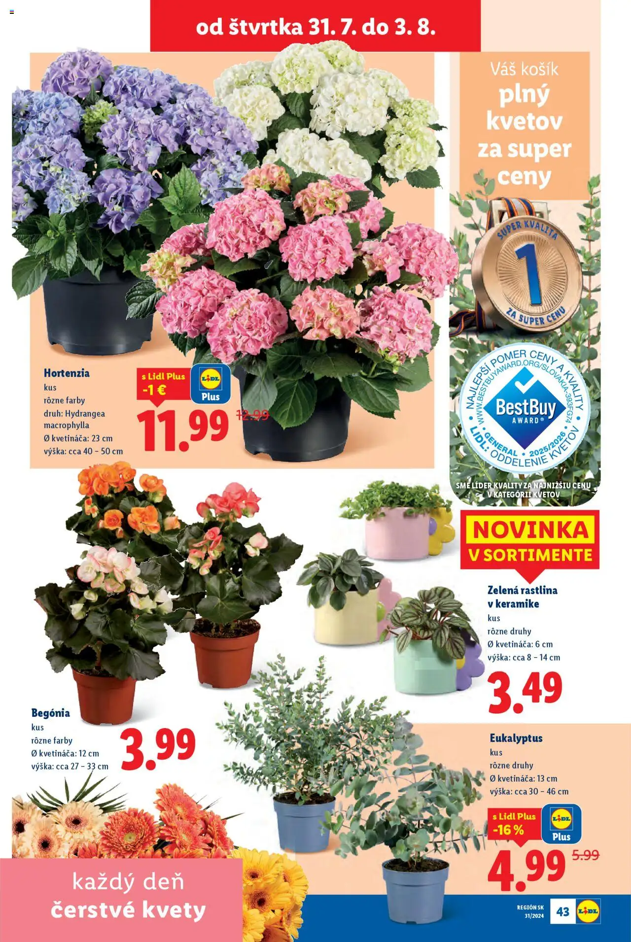 Lidl leták │ platný od 28.07.2025 | Strana: 67 | Produkty: Kvety