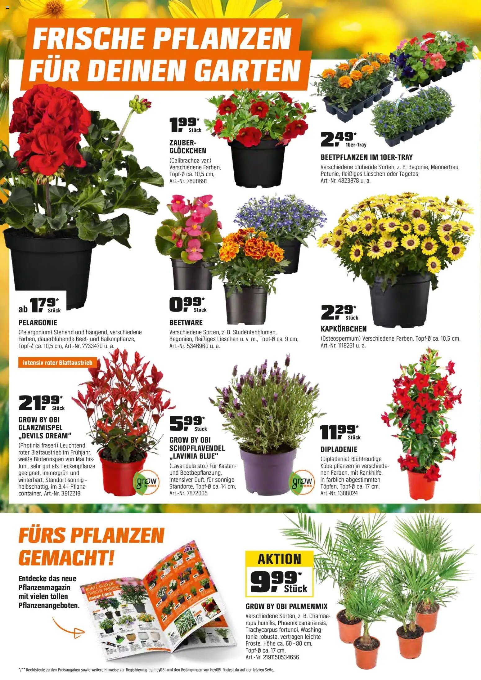 Obi Aktueller Prospekt – gültig ab 27.03.2026 | Seite: 2