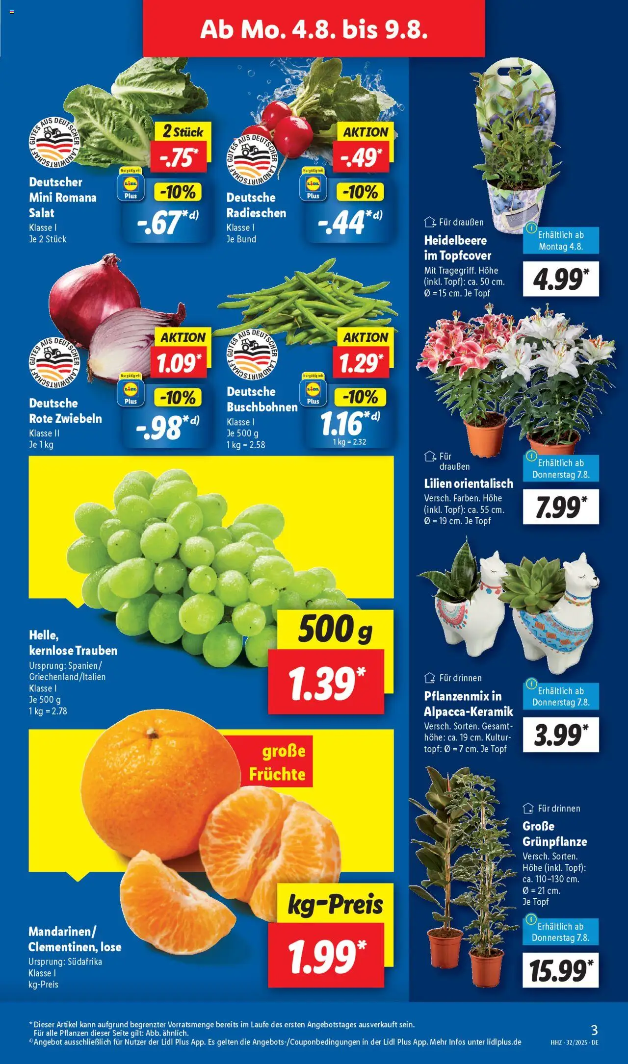 Lidl Prospekt Hilders - gültig ab dem 04.08.2025 | Seite: 3 | Produkte: Trauben, Zwiebeln, Salat