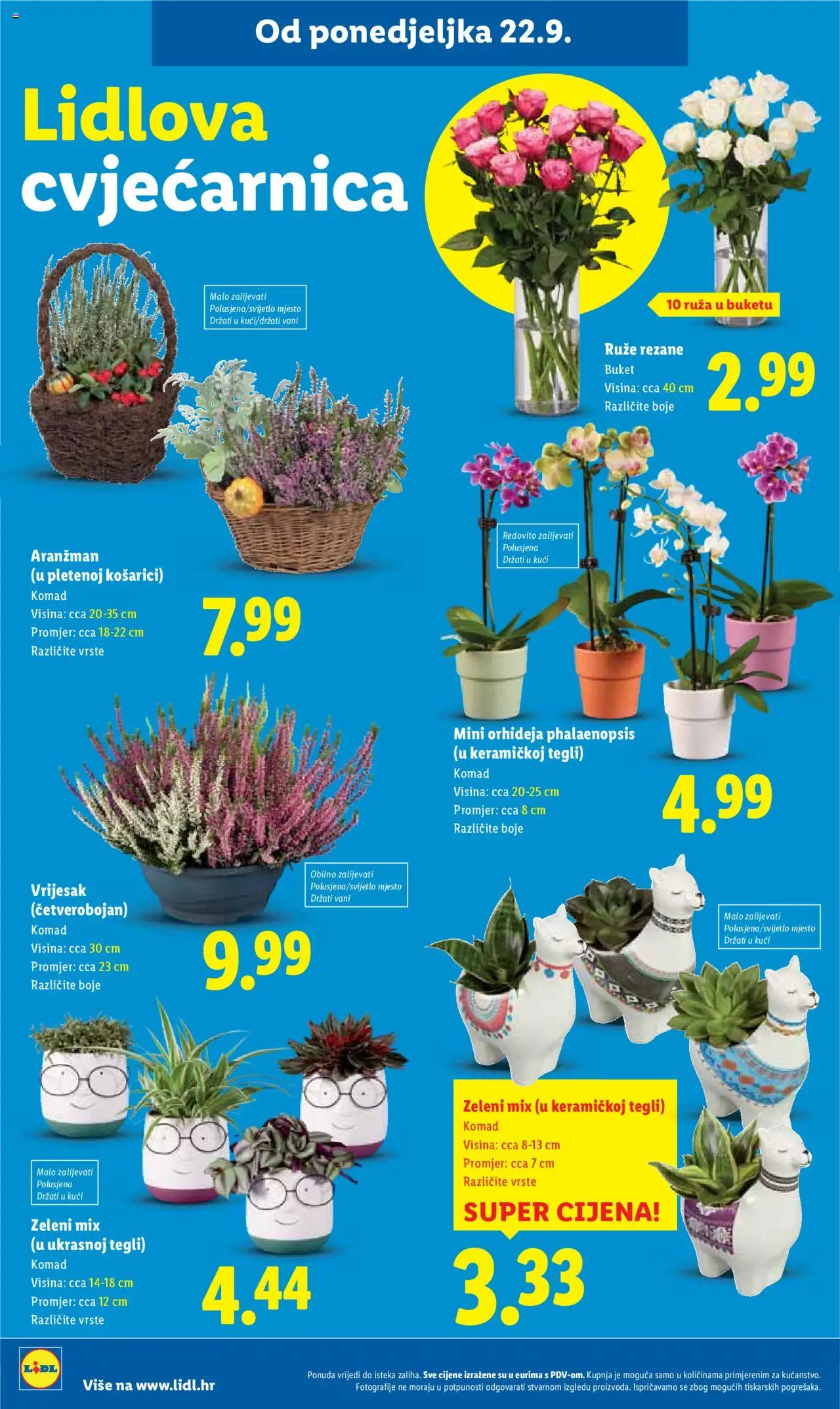 Lidl katalog | vrijedi od 22.09.2025 | Stranica: 60 | Proizvodi: Orhideja