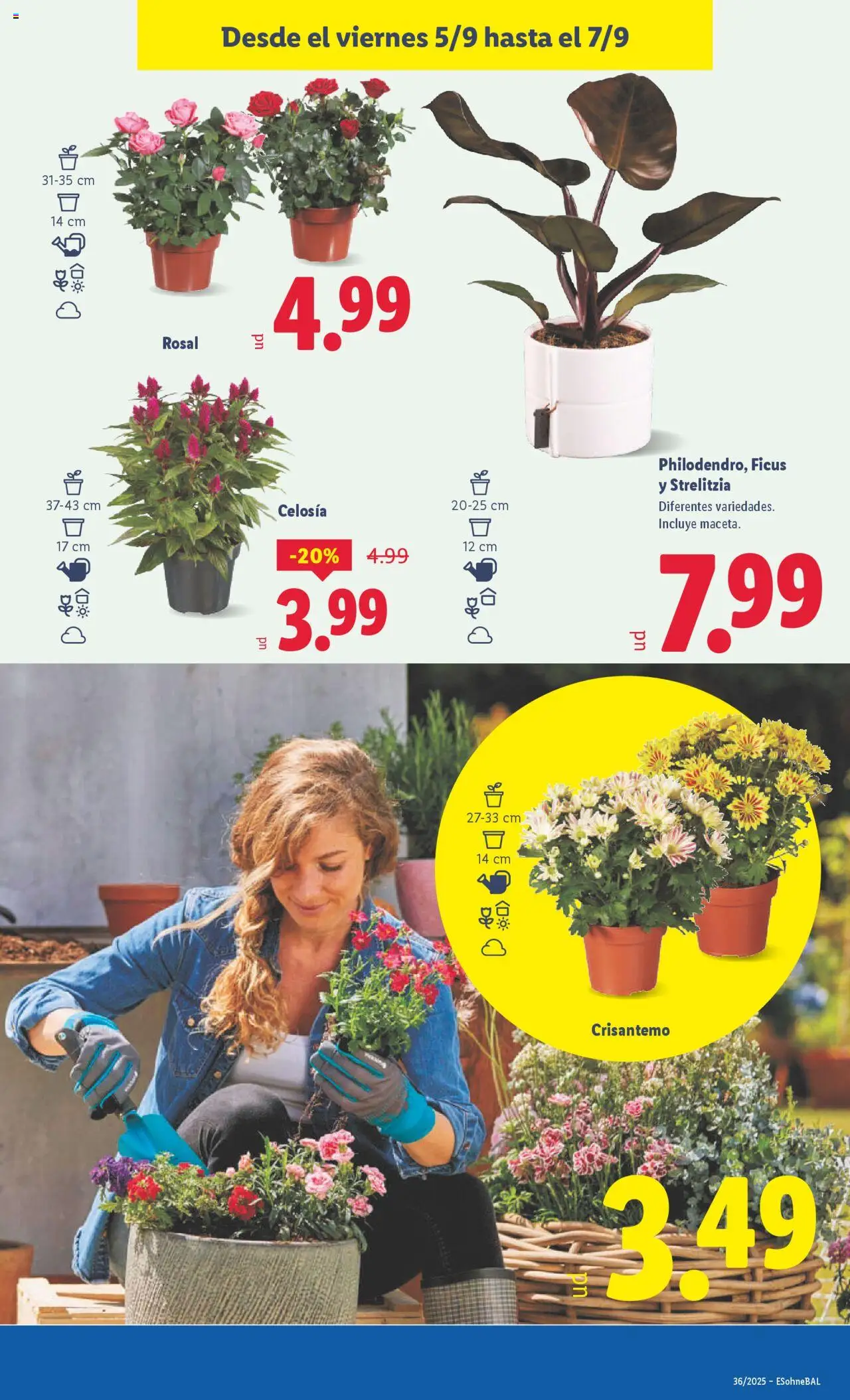 Lidl folleto │ válido desde el 01.09.2025 | Página: 27
