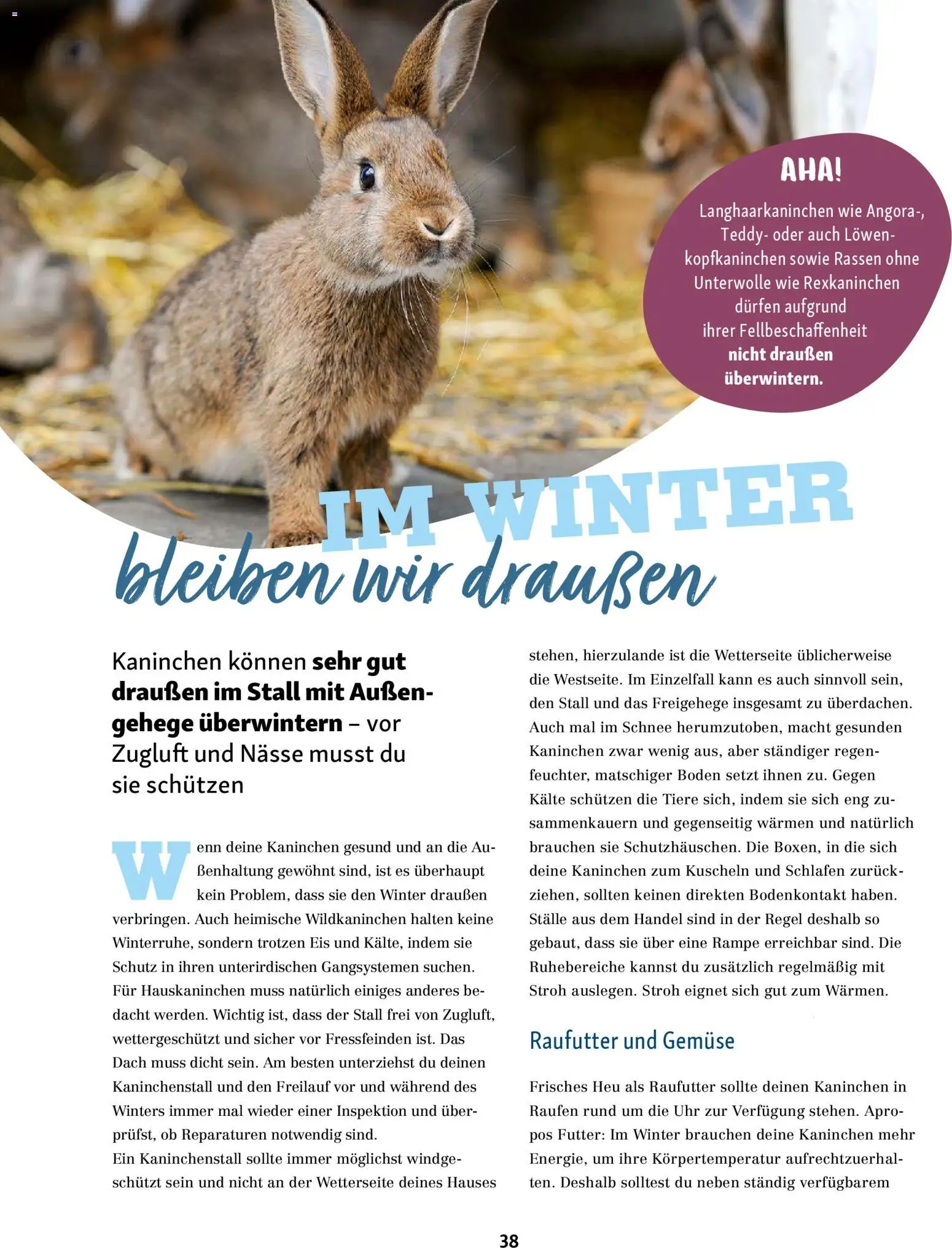 Fressnapf Friends Magazin – gültig ab 01.11.2025 | Seite: 38 | Produkte: Kaninchen, Gemüse, Eis, Uhr