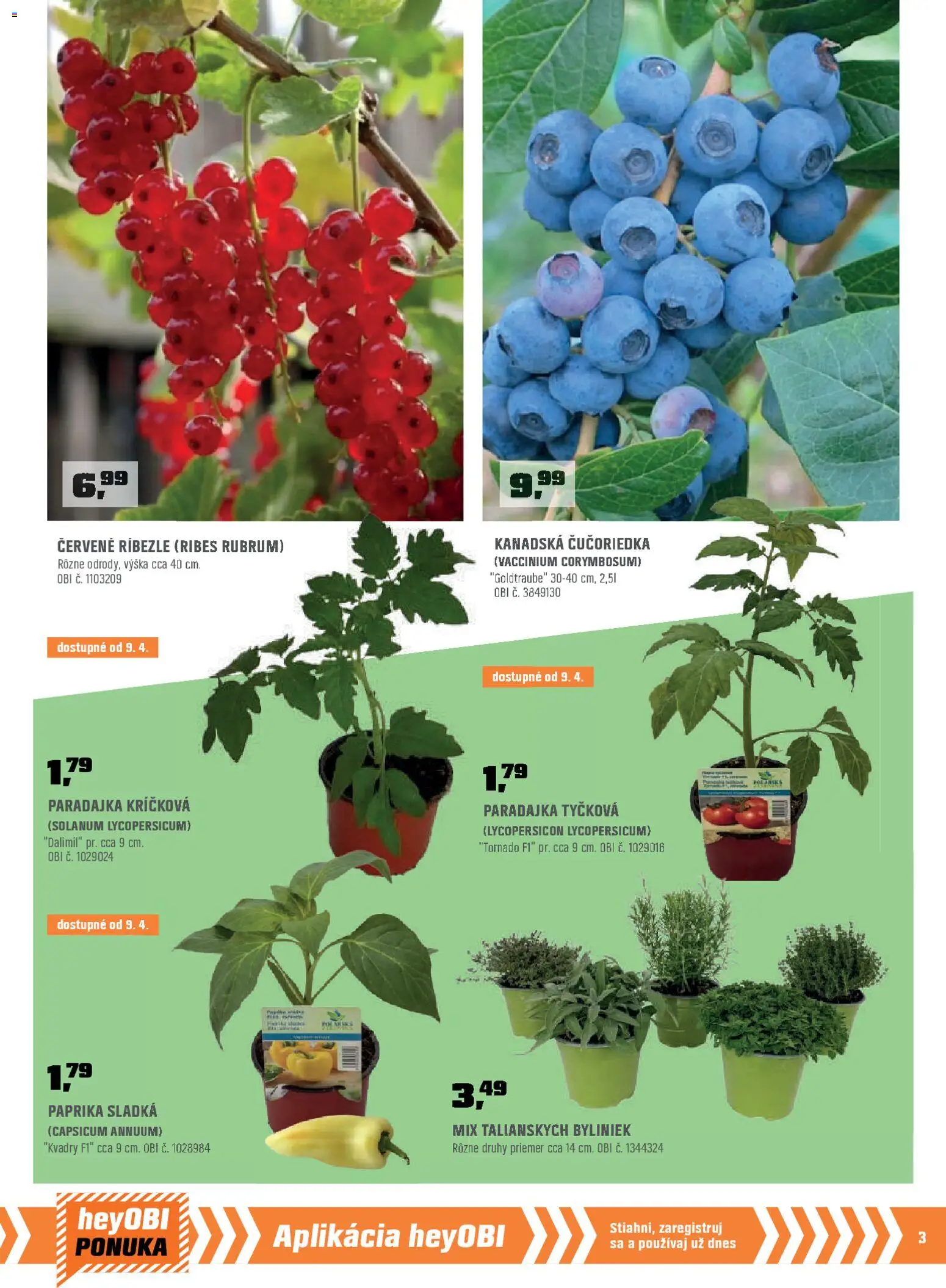 Nové OBI akcie – leták je platný od 01.04.2026 | Strana: 5 | Produkty: Čučoriedky, Substrát