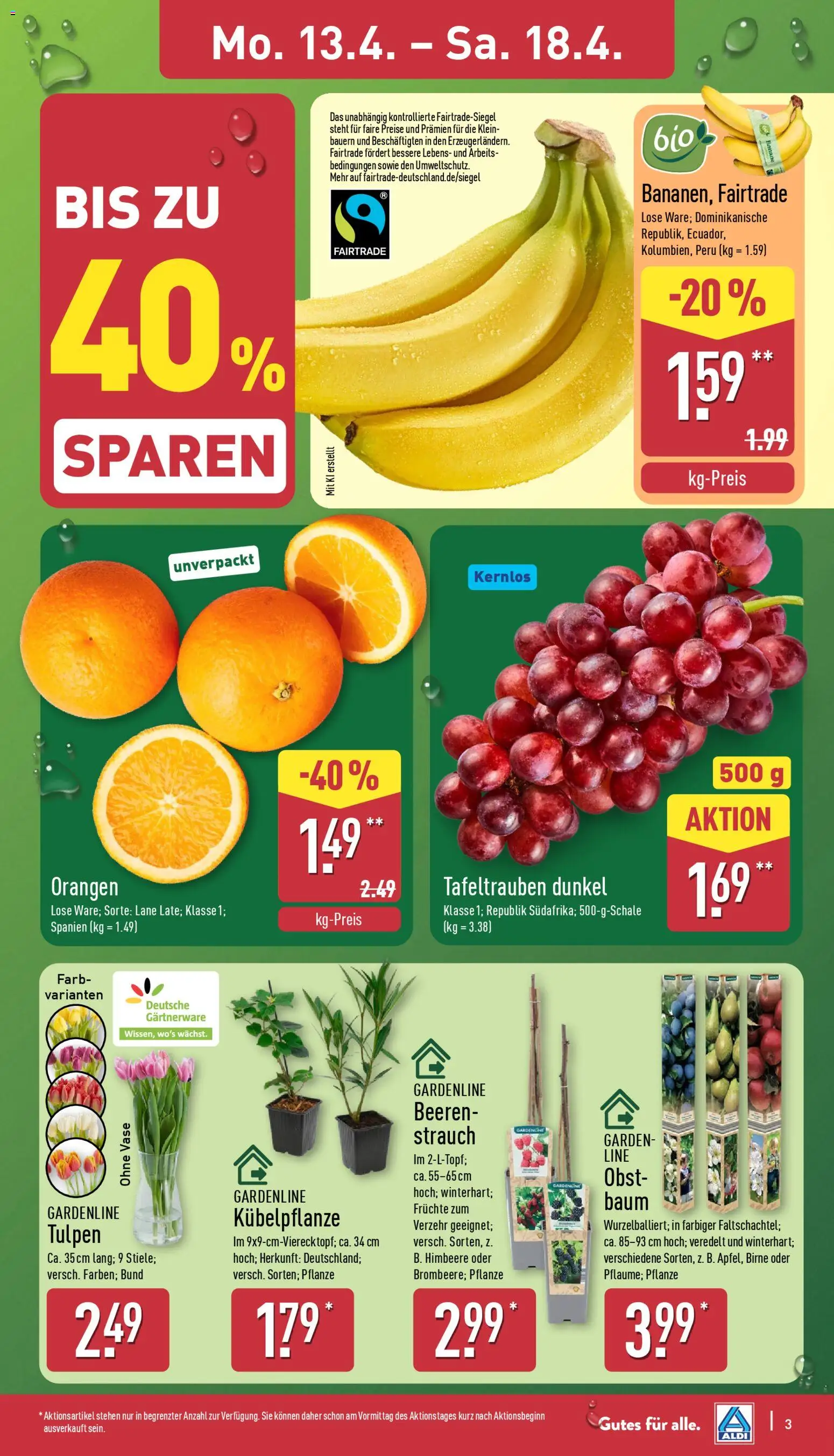 Aldi Prospekt 	 – gültig ab 13.04.2026 | Seite: 7 | Produkte: Vase, Orangen, Obst, Himbeere