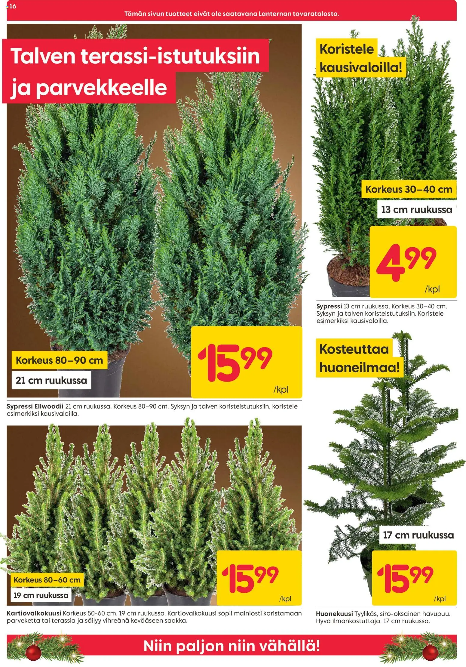 Rusta tarjoukset – voimassa 10.11.2025 alkaen | Sivu: 16