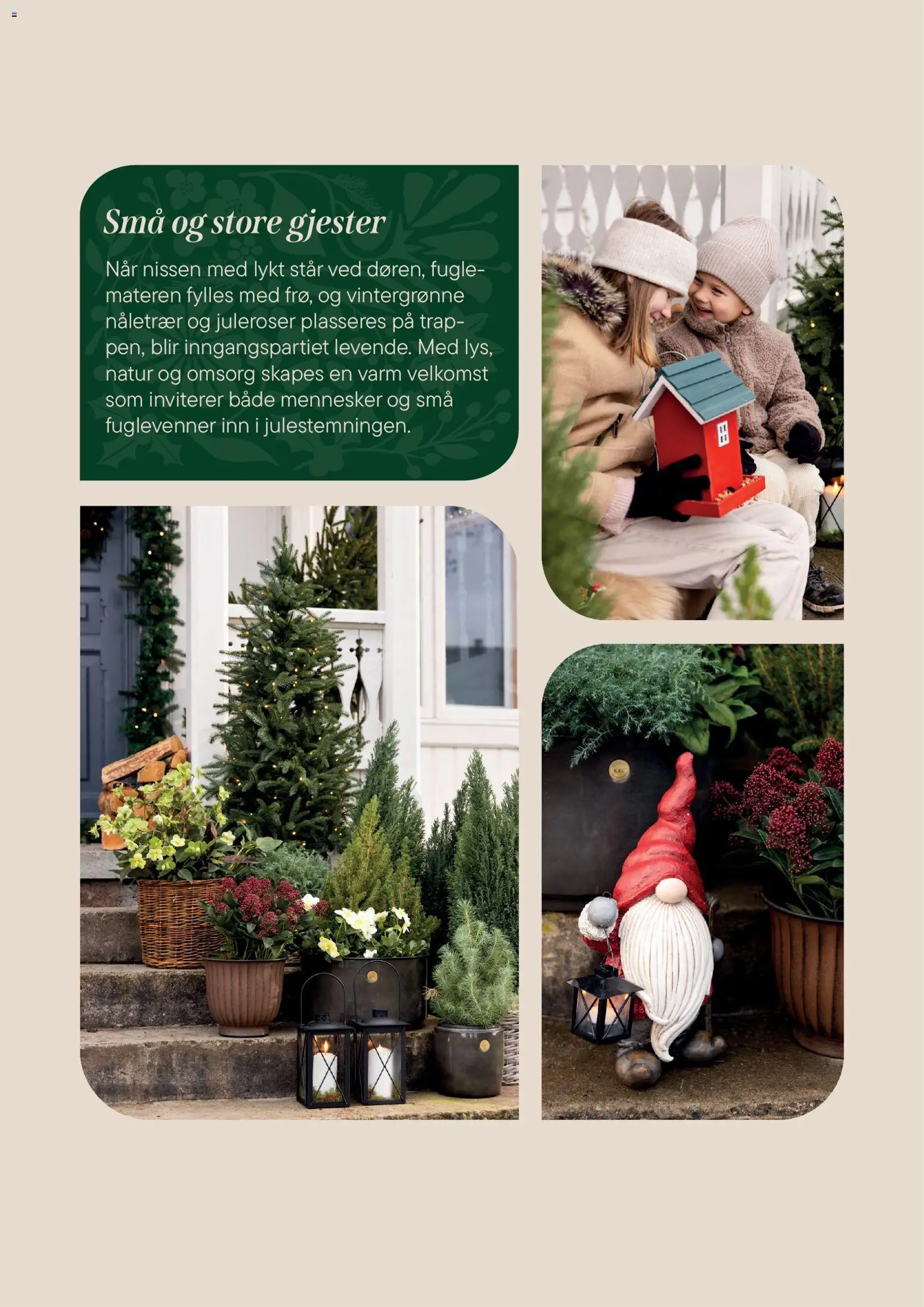 {H1} | Side: 9 | Produkter: Lykt