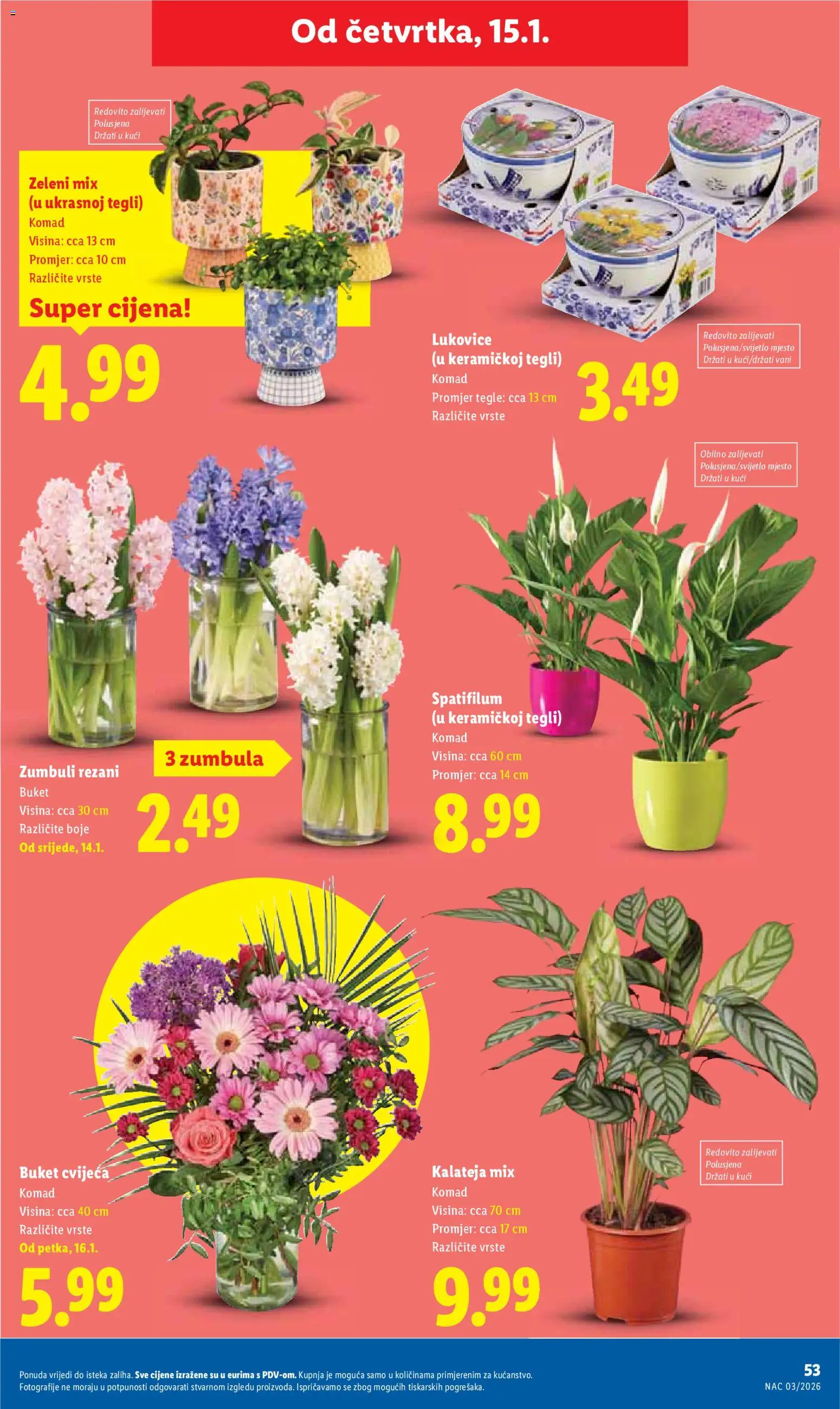 Lidl katalog | vrijedi od 12.01.2026 | Stranica: 53