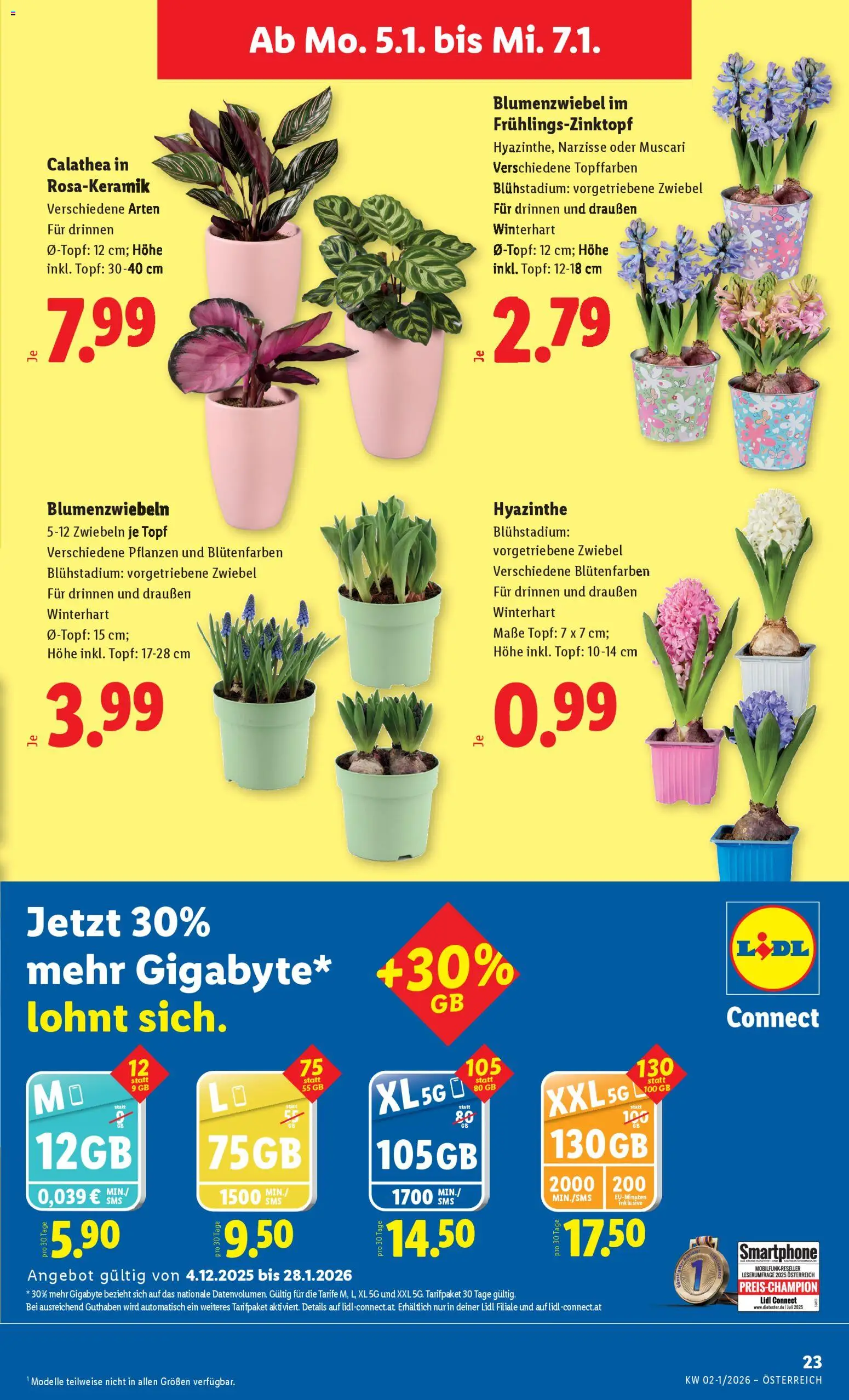 Lidl Altenmarkt im Pongau, St. Johann im Pongau, Zell am See gültig ab 02.01.2026 | Seite: 25 | Produkte: Zwiebeln, Smartphone