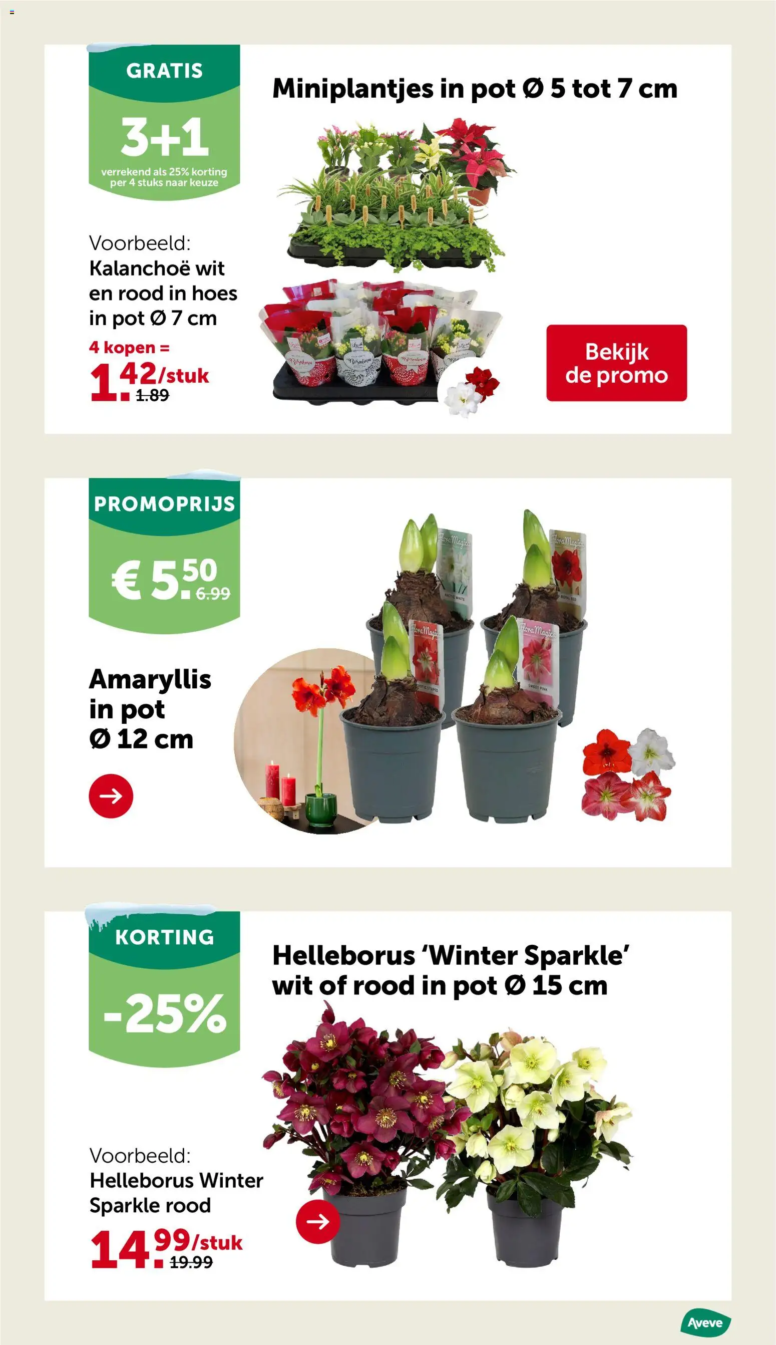 {H1} | Pagina: 24 | Producten: Pot