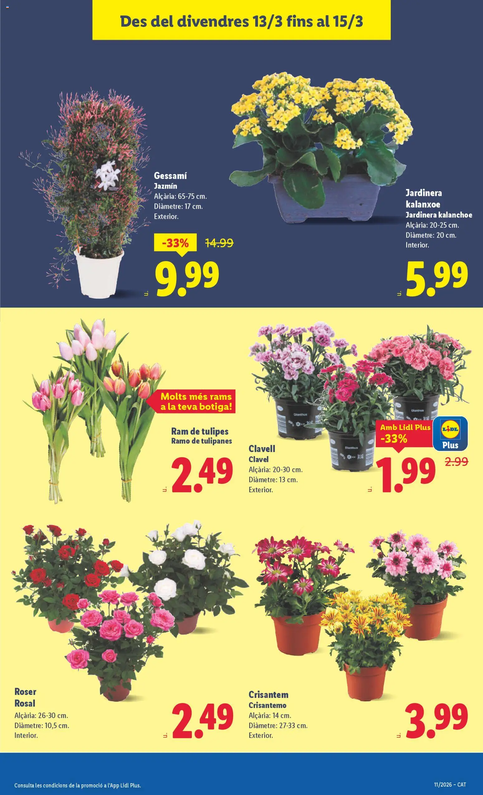 Lidl folleto │ válido desde el 09.03.2026 | Página: 51 | Productos: Jardinera