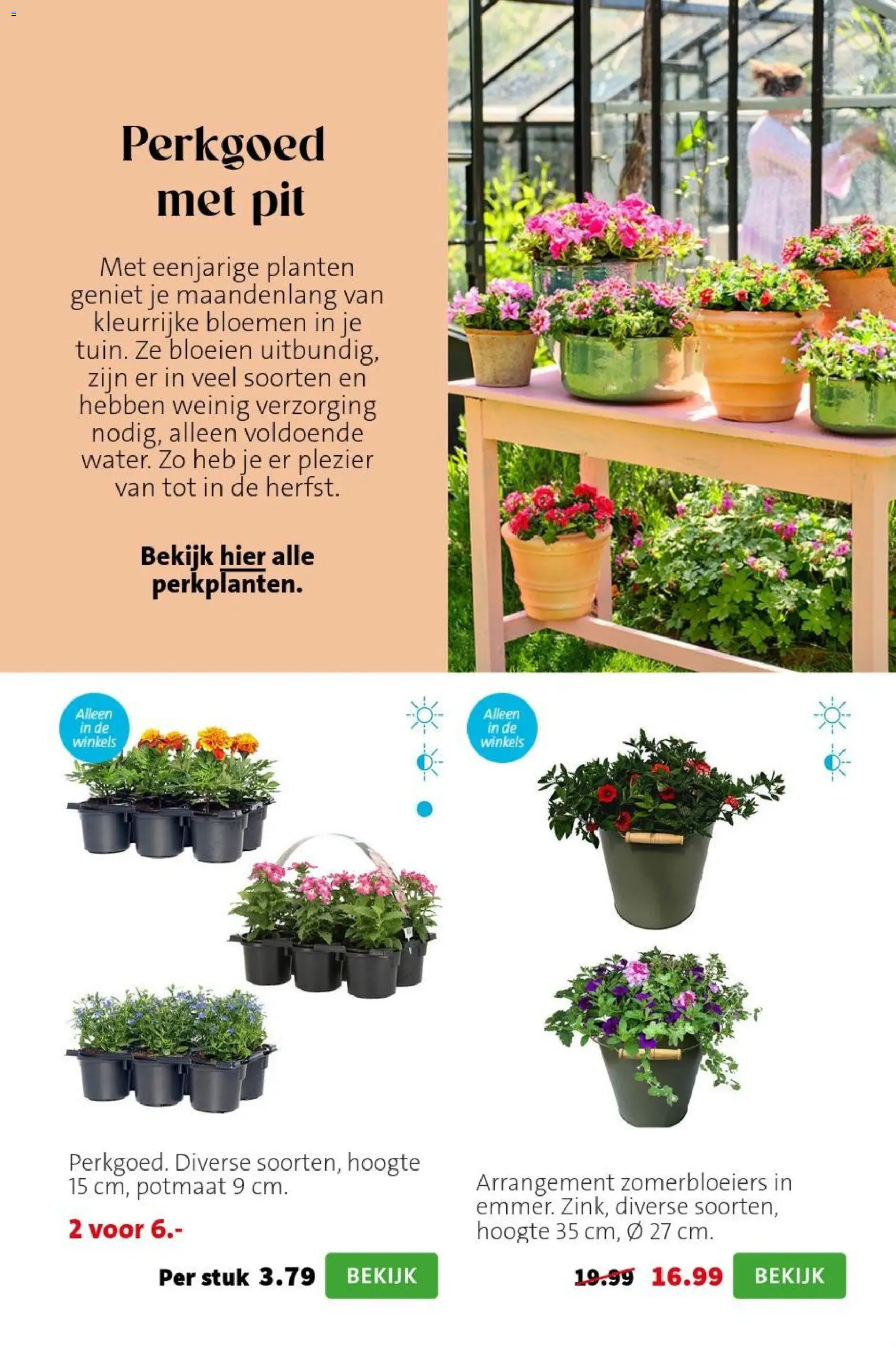 {H1} | Pagina: 5 | Producten: Bloemen