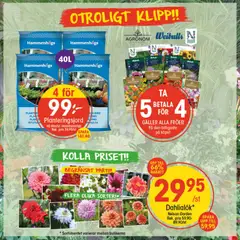 EKO erbjudanden - Förhandsvisning av reklamblad från butik EKO aktuell från 23.03.2026