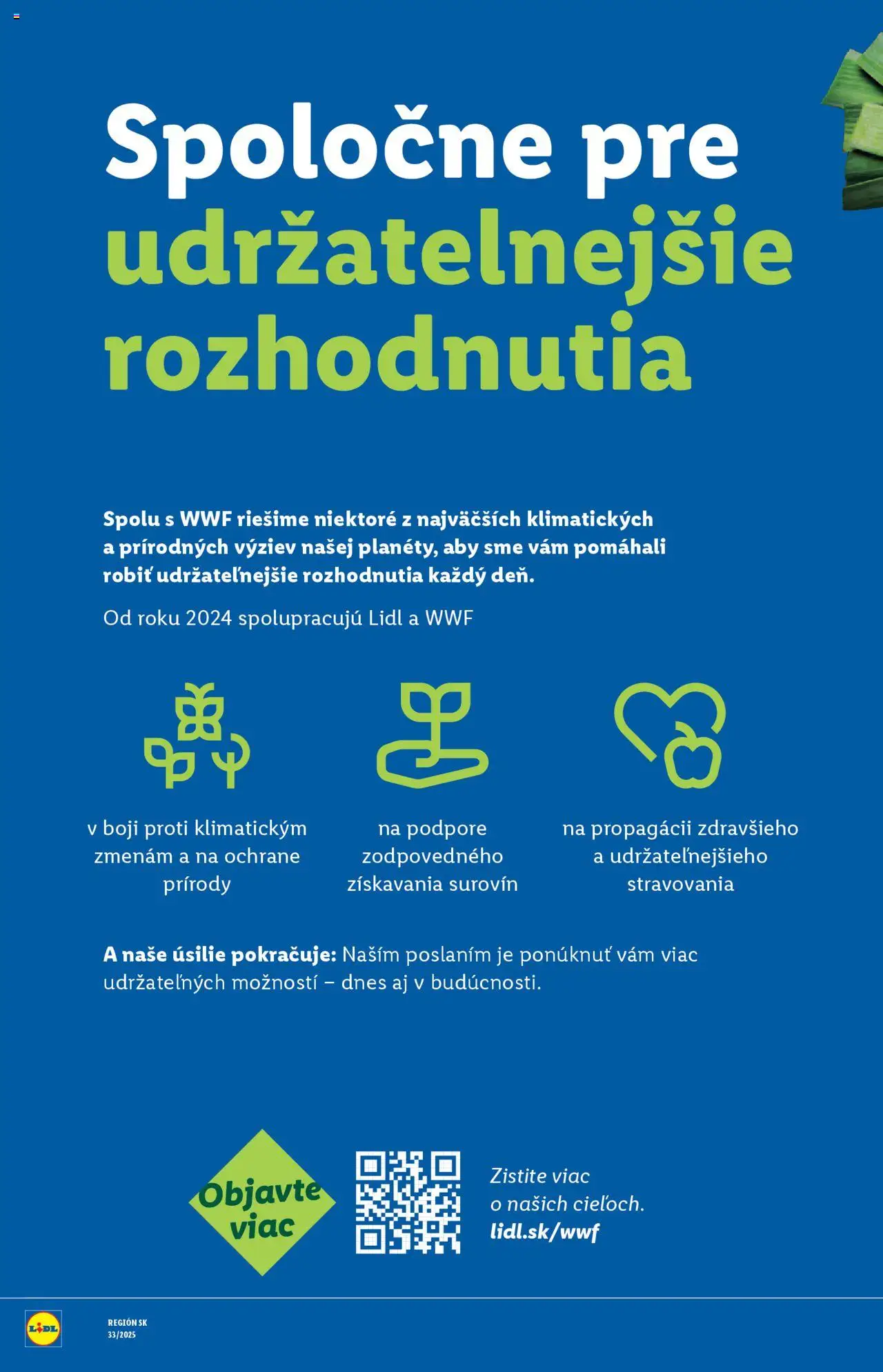 Lidl leták │ platný od 25.08.2025 | Strana: 98