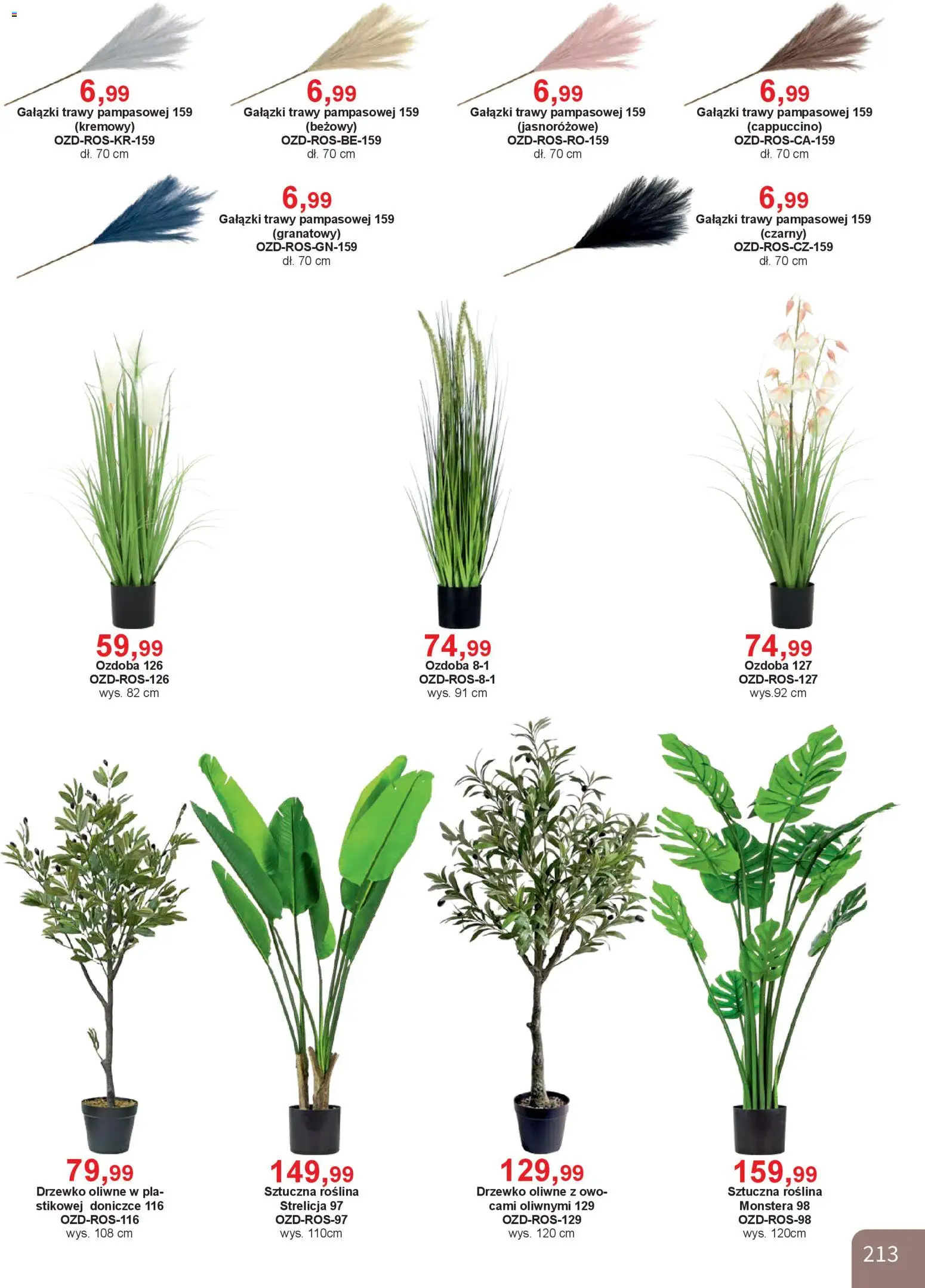 Bodzio Katalog od 01.01.2026 | Strona: 213 | Produkty: Trawy, Cappuccino
